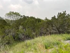 Unimproved Land For Sale in Somervell County , 1083 Cedar Hill Drive, Nemo, Texas 76070, 0, 0, Garage spaces, 0 Sqft, built in 0, Price $49,900, mls#21284441, Real Estate Agent in Nemo, Homes For Sale in Somervell county, Homes For Sale in Nemo, Realtor in Nemo Texas, Real Estate Brokerage Independent Realty Texas, Luminita Cordes Realtor