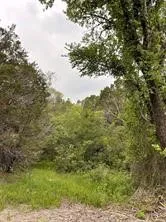 Unimproved Land For Sale in Somervell County , 1083 Cedar Hill Drive, Nemo, Texas 76070, 0, 0, Garage spaces, 0 Sqft, built in 0, Price $49,900, mls#21284441, Real Estate Agent in Nemo, Homes For Sale in Somervell county, Homes For Sale in Nemo, Realtor in Nemo Texas, Real Estate Brokerage Independent Realty Texas, Luminita Cordes Realtor