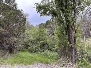 Unimproved Land For Sale in Somervell County , 1083 Cedar Hill Drive, Nemo, Texas 76070, 0, 0, Garage spaces, 0 Sqft, built in 0, Price $49,900, mls#21284441, Real Estate Agent in Nemo, Homes For Sale in Somervell county, Homes For Sale in Nemo, Realtor in Nemo Texas, Real Estate Brokerage Independent Realty Texas, Luminita Cordes Realtor