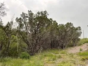 Unimproved Land For Sale in Somervell County , 1083 Cedar Hill Drive, Nemo, Texas 76070, 0, 0, Garage spaces, 0 Sqft, built in 0, Price $49,900, mls#21284441, Real Estate Agent in Nemo, Homes For Sale in Somervell county, Homes For Sale in Nemo, Realtor in Nemo Texas, Real Estate Brokerage Independent Realty Texas, Luminita Cordes Realtor
