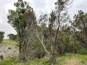 Unimproved Land For Sale in Somervell County , 1083 Cedar Hill Drive, Nemo, Texas 76070, 0, 0, Garage spaces, 0 Sqft, built in 0, Price $49,900, mls#21284441, Real Estate Agent in Nemo, Homes For Sale in Somervell county, Homes For Sale in Nemo, Realtor in Nemo Texas, Real Estate Brokerage Independent Realty Texas, Luminita Cordes Realtor
