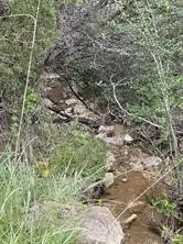 Unimproved Land For Sale in Somervell County , 1083 Cedar Hill Drive, Nemo, Texas 76070, 0, 0, Garage spaces, 0 Sqft, built in 0, Price $49,900, mls#21284441, Real Estate Agent in Nemo, Homes For Sale in Somervell county, Homes For Sale in Nemo, Realtor in Nemo Texas, Real Estate Brokerage Independent Realty Texas, Luminita Cordes Realtor
