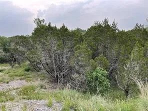 Unimproved Land For Sale in Somervell County , 1083 Cedar Hill Drive, Nemo, Texas 76070, 0, 0, Garage spaces, 0 Sqft, built in 0, Price $49,900, mls#21284441, Real Estate Agent in Nemo, Homes For Sale in Somervell county, Homes For Sale in Nemo, Realtor in Nemo Texas, Real Estate Brokerage Independent Realty Texas, Luminita Cordes Realtor