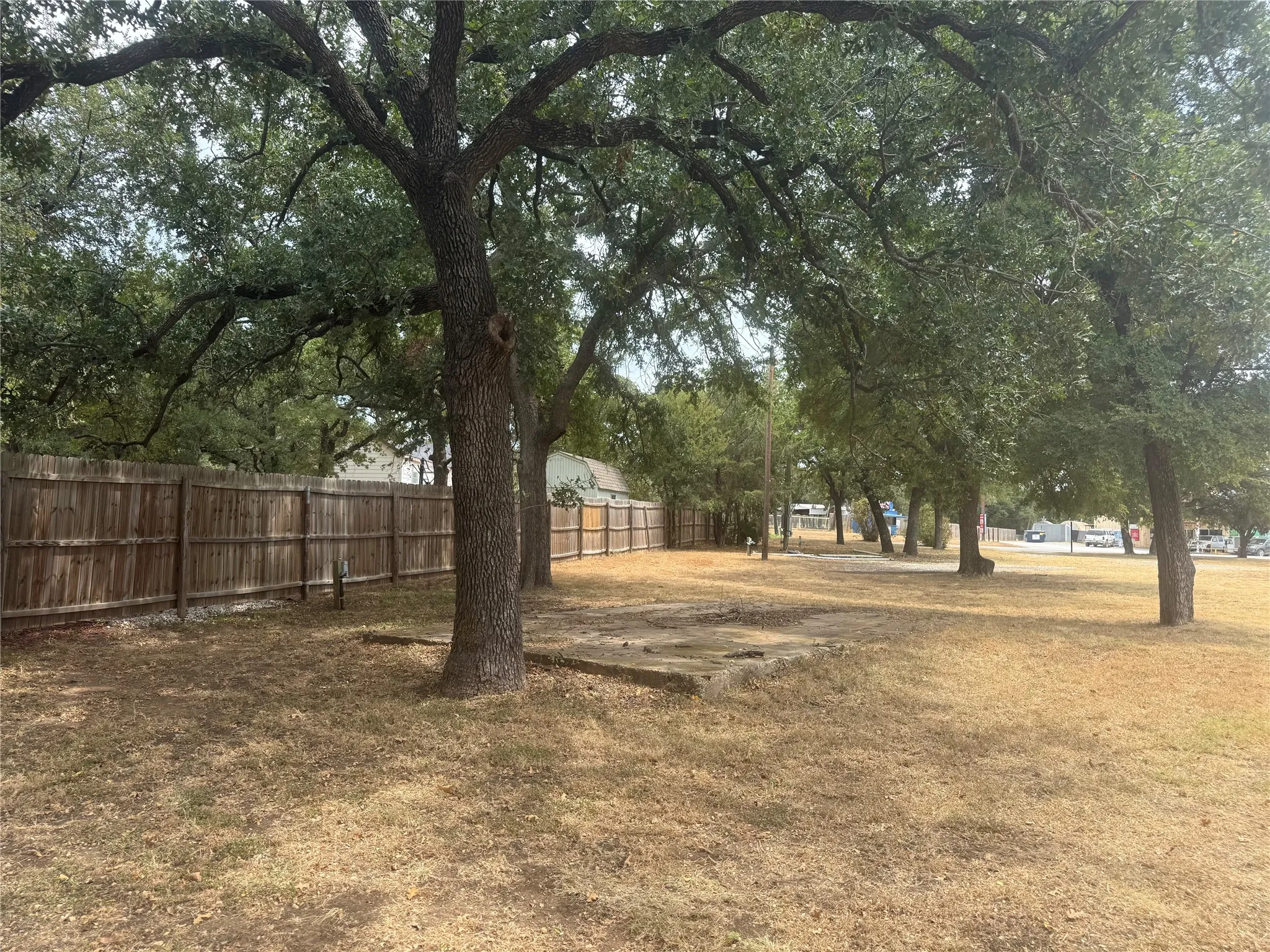 Mature trees providing ample shade