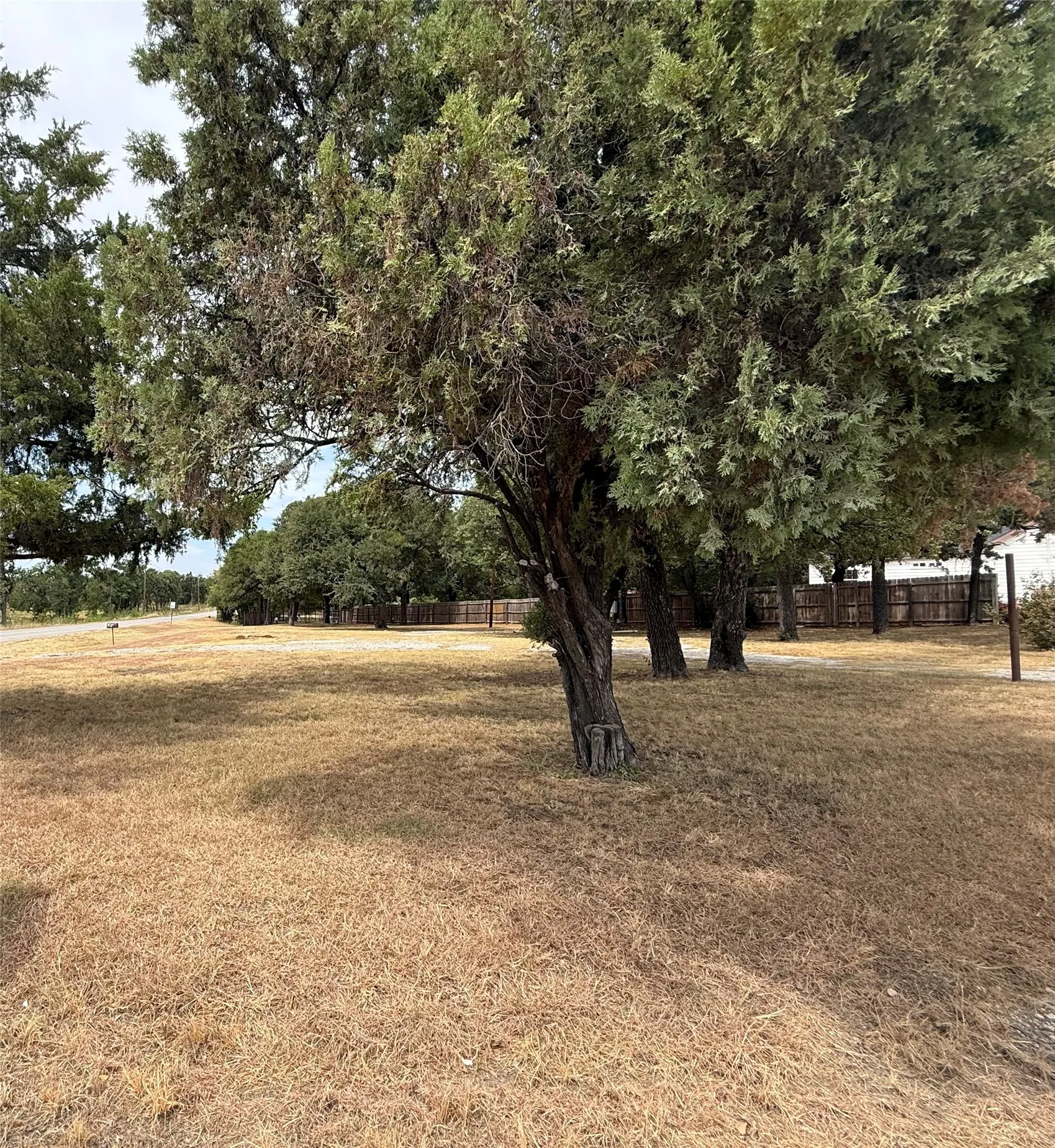Expansive grounds featuring mature shade trees with lush canopy coverage and established fencing