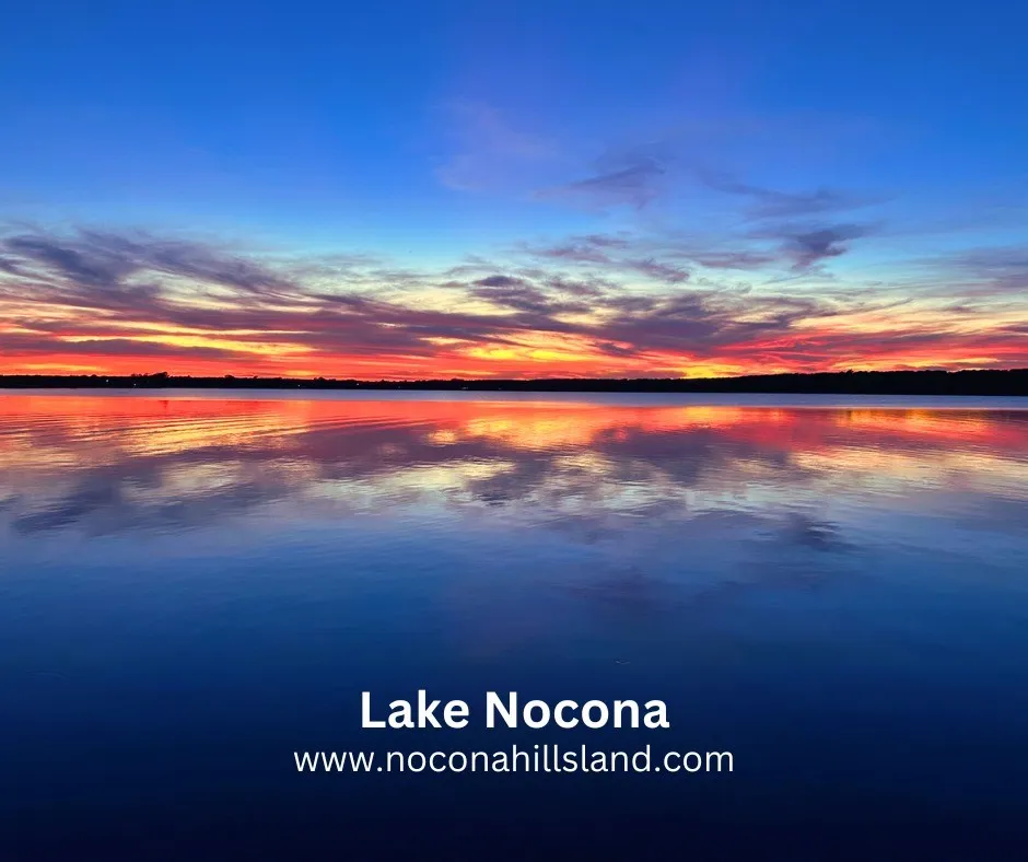 Unimproved Land For Sale in Montague County , 248 Nocona Dr, Nocona, Texas 76255, 0, 0, Garage spaces, 0 Sqft, built in 0, Price $39,500, mls#21285049, Real Estate Agent in Nocona, Homes For Sale in Montague county, Homes For Sale in Nocona, Realtor in Nocona Texas, Real Estate Brokerage Independent Realty Texas, Luminita Cordes Realtor