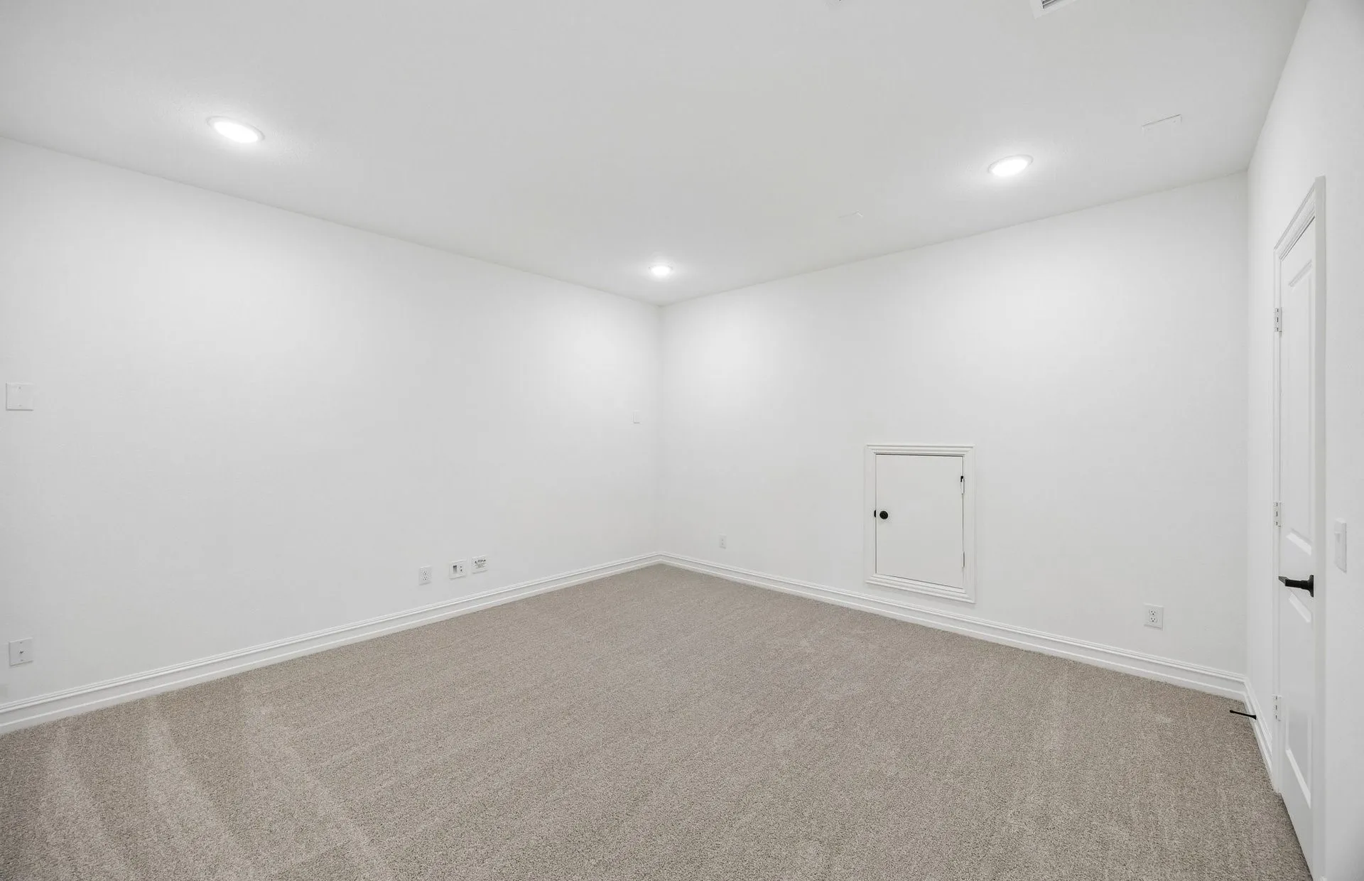 Spacious media room