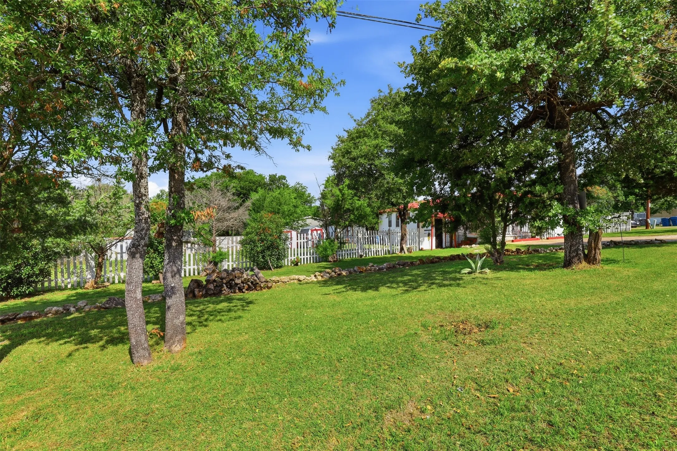 View of yard with lots of trees