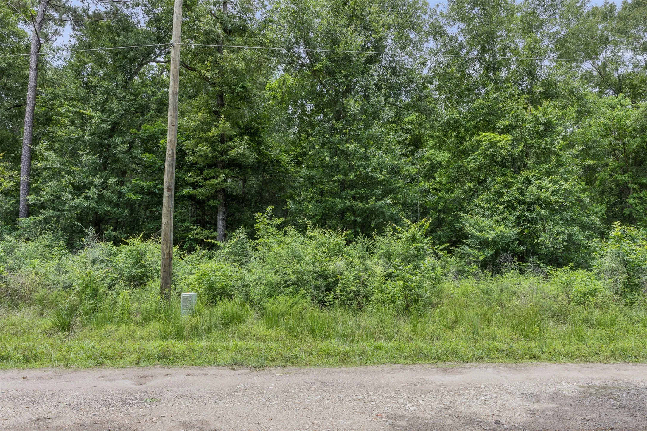 Improved Land For Sale in Montgomery County , 19116 Surrey, New Caney, Texas 77357, 0, 0, Garage spaces, 0 Sqft, built in 0, Price $40,000, mls#21265950, Real Estate Agent in New Caney, Homes For Sale in Montgomery county, Homes For Sale in New Caney, Realtor in New Caney Texas, Real Estate Brokerage Independent Realty Texas, Luminita Cordes Realtor