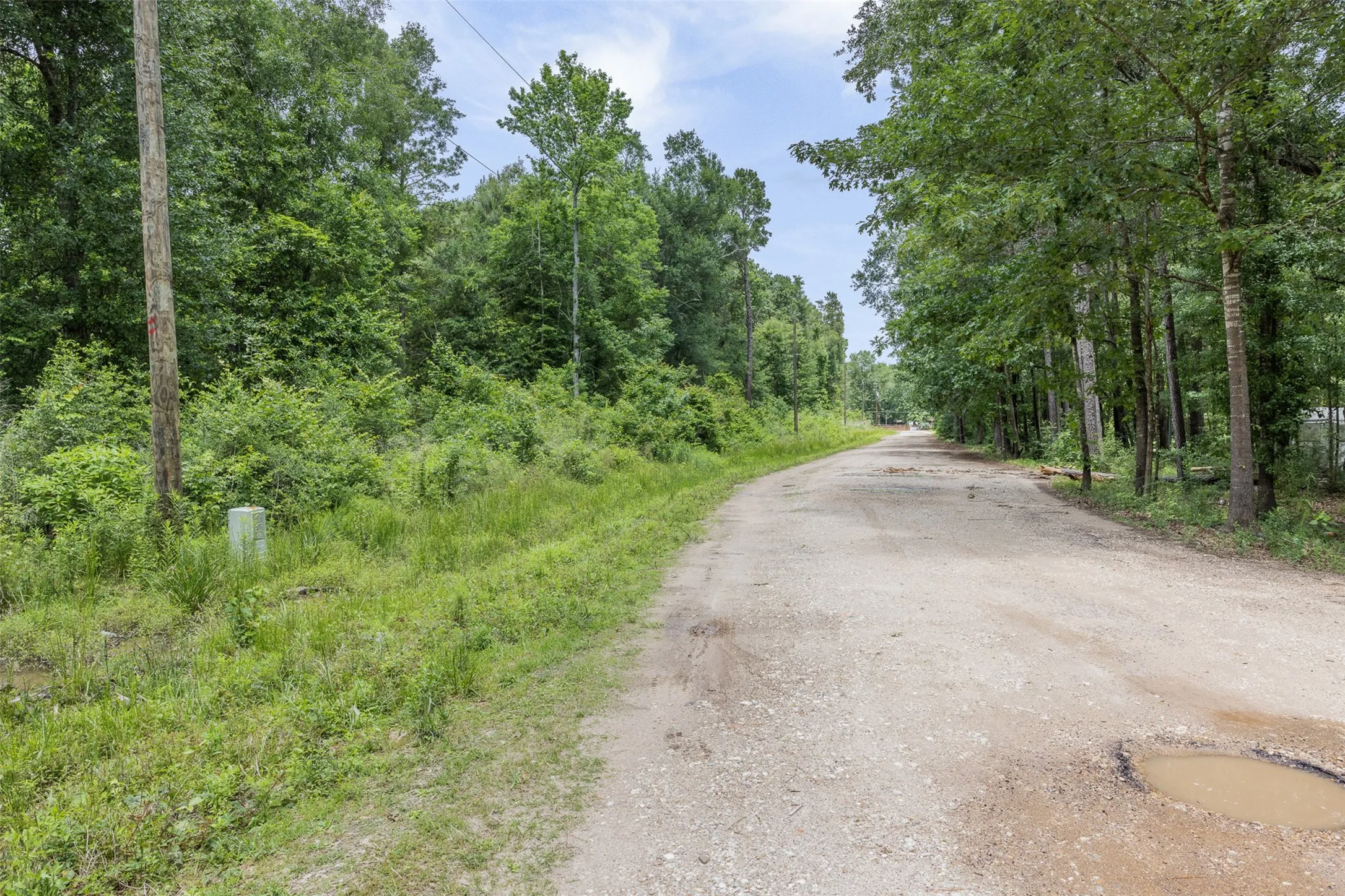 Improved Land For Sale in Montgomery County , 19116 Surrey, New Caney, Texas 77357, 0, 0, Garage spaces, 0 Sqft, built in 0, Price $40,000, mls#21265950, Real Estate Agent in New Caney, Homes For Sale in Montgomery county, Homes For Sale in New Caney, Realtor in New Caney Texas, Real Estate Brokerage Independent Realty Texas, Luminita Cordes Realtor