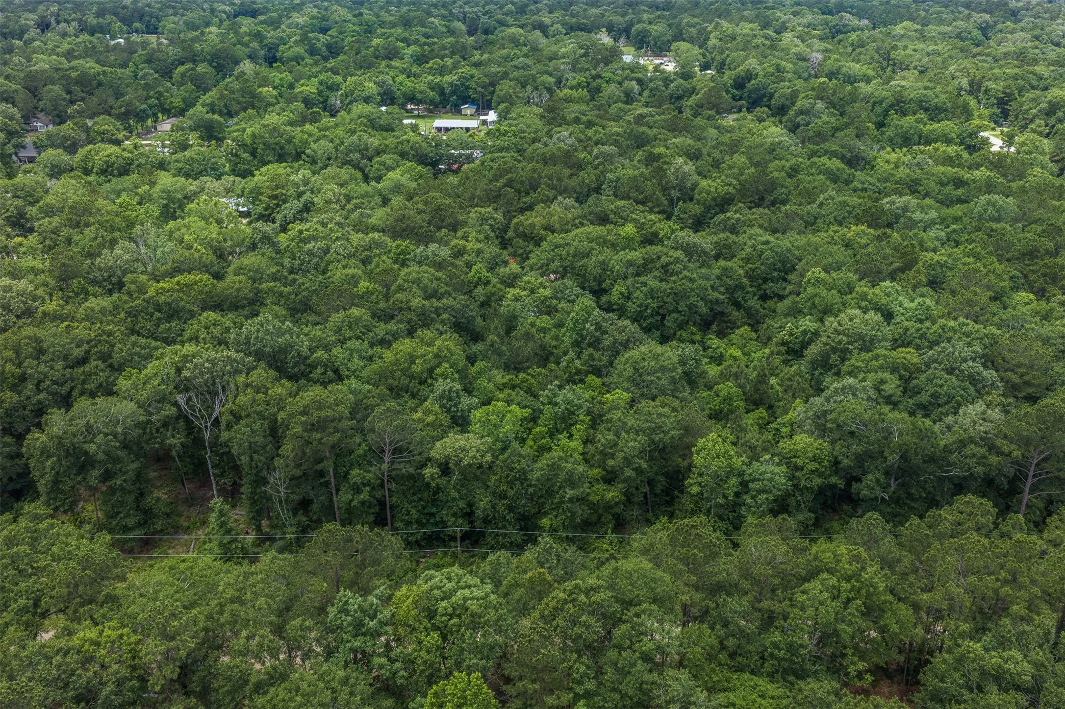 Improved Land For Sale in Montgomery County , 19116 Surrey, New Caney, Texas 77357, 0, 0, Garage spaces, 0 Sqft, built in 0, Price $40,000, mls#21265950, Real Estate Agent in New Caney, Homes For Sale in Montgomery county, Homes For Sale in New Caney, Realtor in New Caney Texas, Real Estate Brokerage Independent Realty Texas, Luminita Cordes Realtor