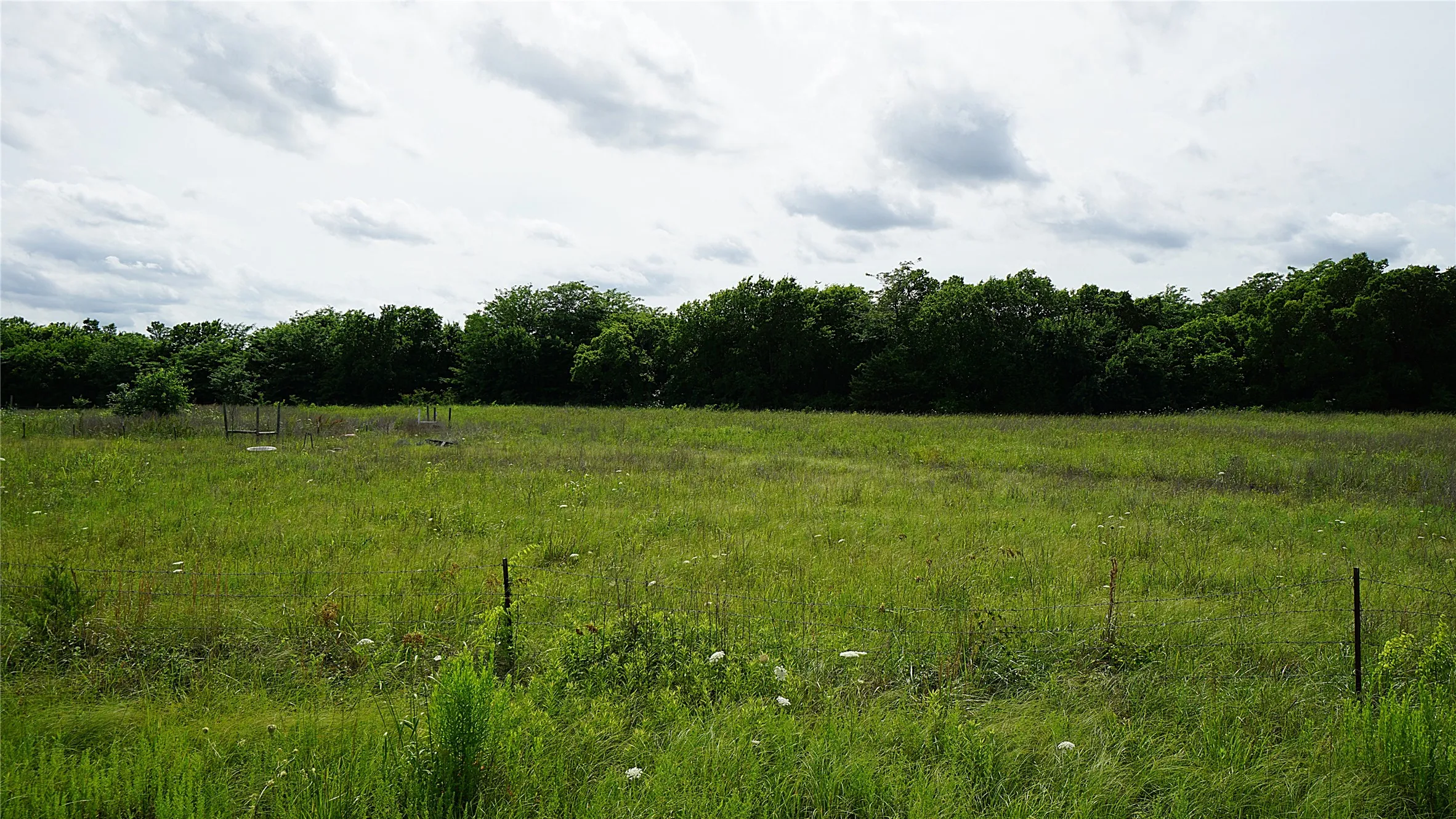 Unimproved Land For Sale in Hunt County , 10468 State Highway 50, Ladonia, Texas 75449, 0, 0, Garage spaces, 0 Sqft, built in 0, Price $99,000, mls#21285500, Real Estate Agent in Ladonia, Homes For Sale in Hunt county, Homes For Sale in Ladonia, Realtor in Ladonia Texas, Real Estate Brokerage Independent Realty Texas, Luminita Cordes Realtor