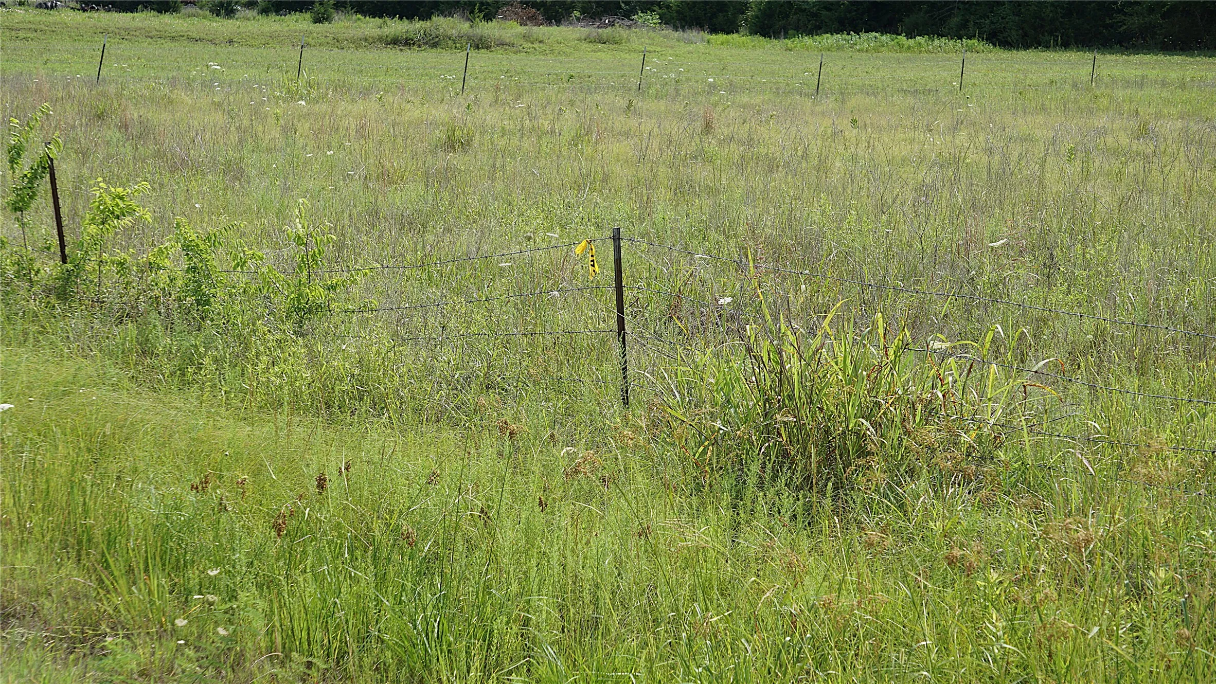 Unimproved Land For Sale in Hunt County , 10468 State Highway 50, Ladonia, Texas 75449, 0, 0, Garage spaces, 0 Sqft, built in 0, Price $99,000, mls#21285500, Real Estate Agent in Ladonia, Homes For Sale in Hunt county, Homes For Sale in Ladonia, Realtor in Ladonia Texas, Real Estate Brokerage Independent Realty Texas, Luminita Cordes Realtor