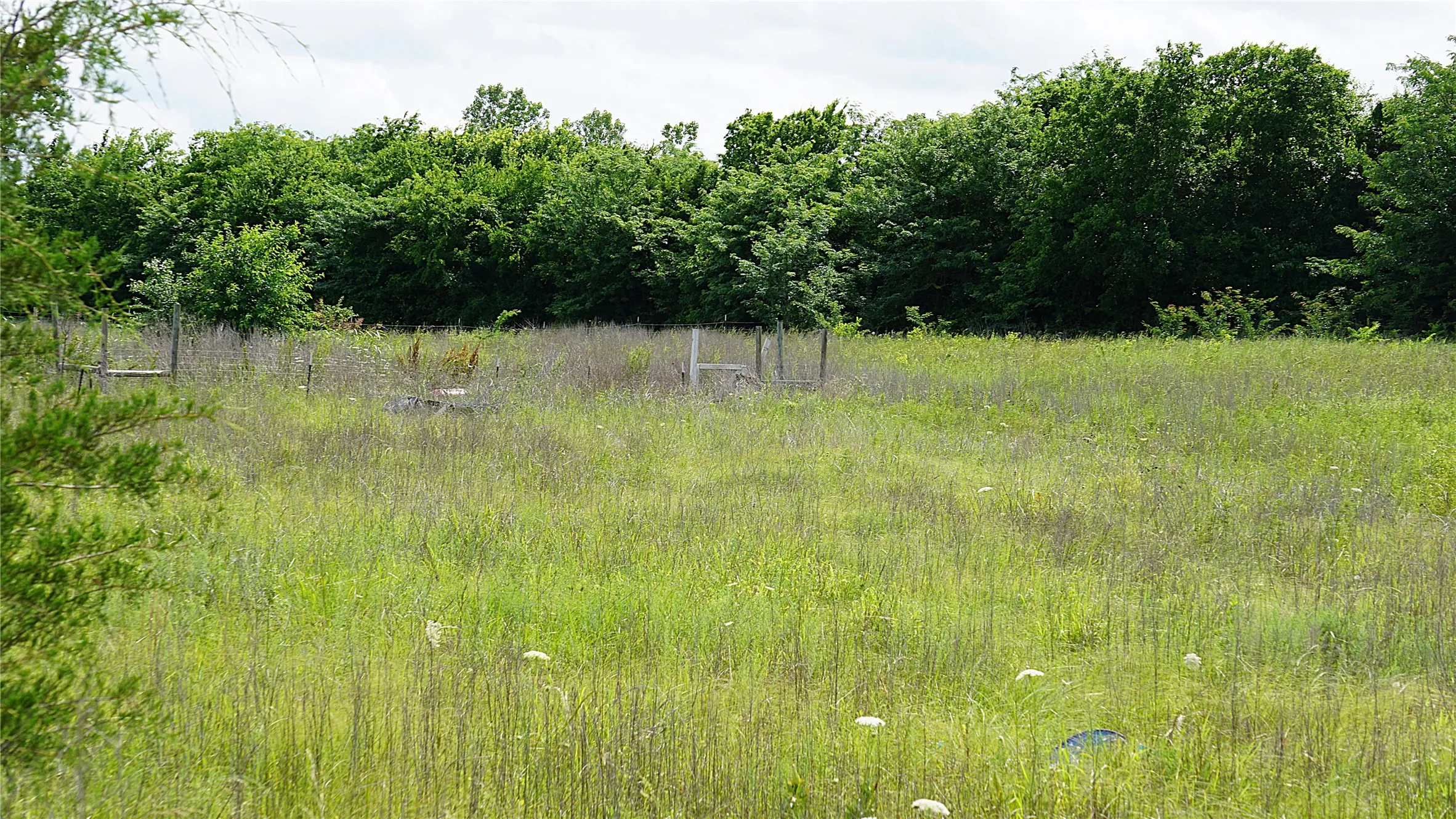 Unimproved Land For Sale in Hunt County , 10468 State Highway 50, Ladonia, Texas 75449, 0, 0, Garage spaces, 0 Sqft, built in 0, Price $99,000, mls#21285500, Real Estate Agent in Ladonia, Homes For Sale in Hunt county, Homes For Sale in Ladonia, Realtor in Ladonia Texas, Real Estate Brokerage Independent Realty Texas, Luminita Cordes Realtor