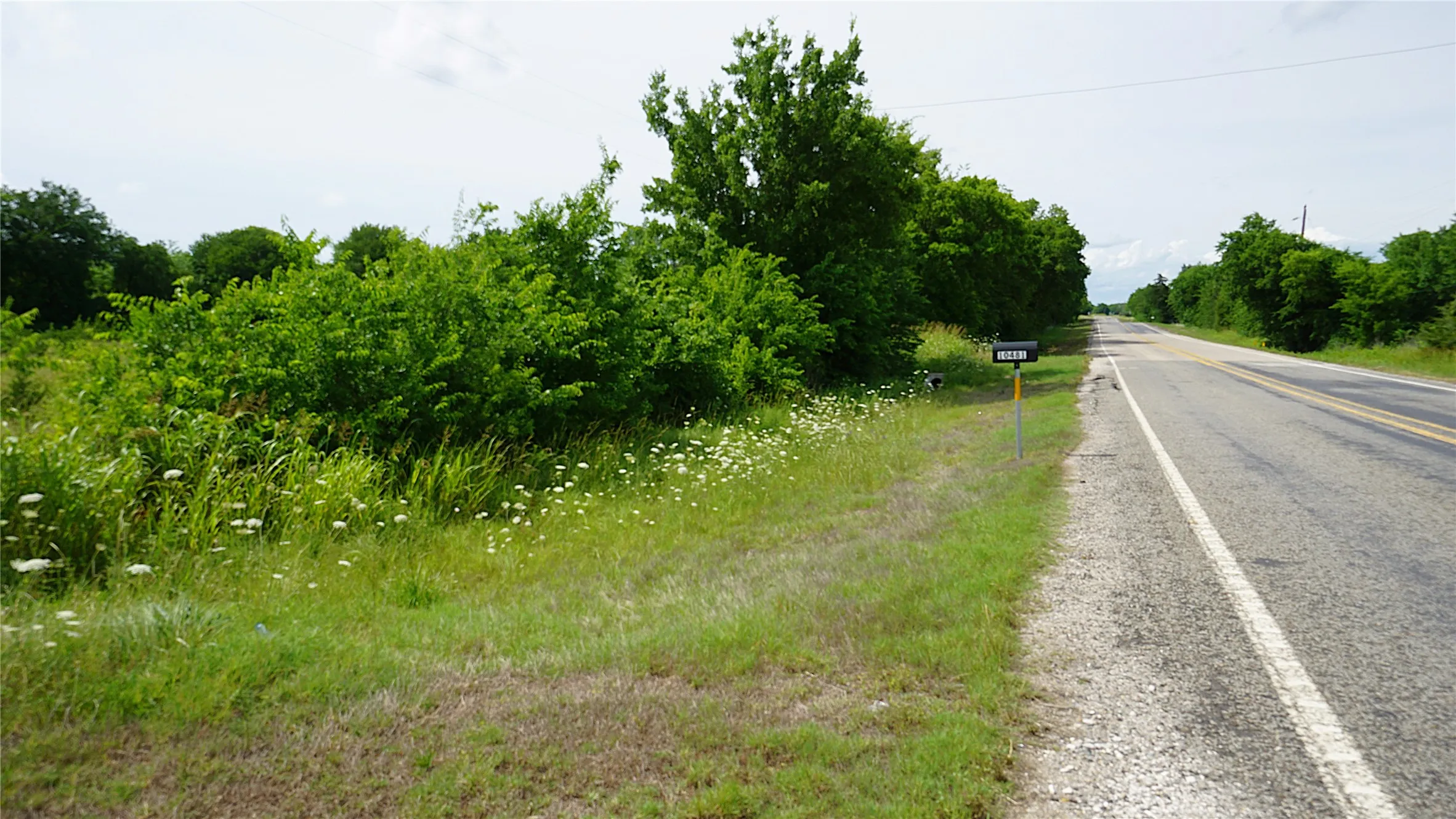 Unimproved Land For Sale in Hunt County , 10468 State Highway 50, Ladonia, Texas 75449, 0, 0, Garage spaces, 0 Sqft, built in 0, Price $99,000, mls#21285500, Real Estate Agent in Ladonia, Homes For Sale in Hunt county, Homes For Sale in Ladonia, Realtor in Ladonia Texas, Real Estate Brokerage Independent Realty Texas, Luminita Cordes Realtor