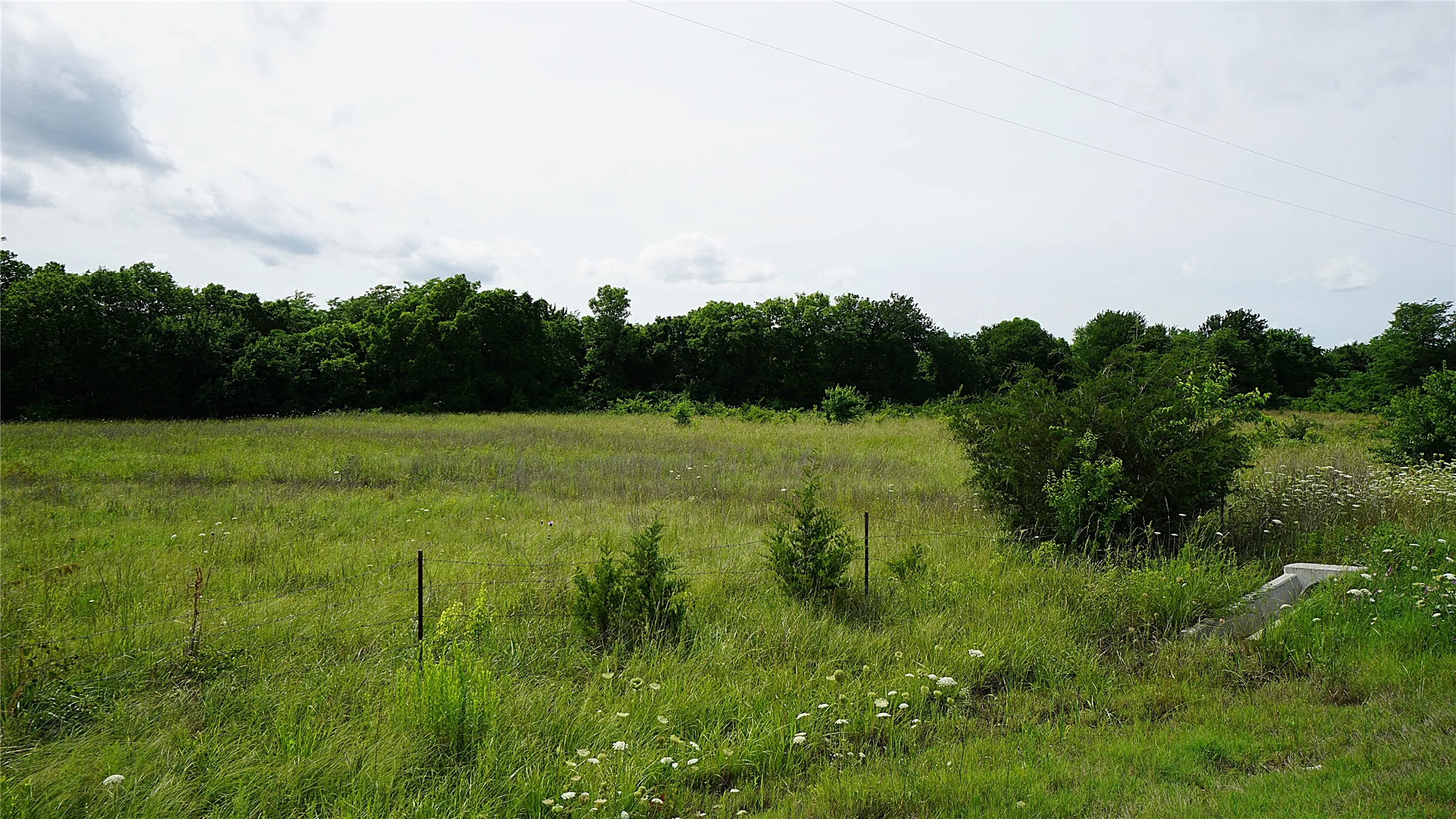 Unimproved Land For Sale in Hunt County , 10468 State Highway 50, Ladonia, Texas 75449, 0, 0, Garage spaces, 0 Sqft, built in 0, Price $99,000, mls#21285500, Real Estate Agent in Ladonia, Homes For Sale in Hunt county, Homes For Sale in Ladonia, Realtor in Ladonia Texas, Real Estate Brokerage Independent Realty Texas, Luminita Cordes Realtor
