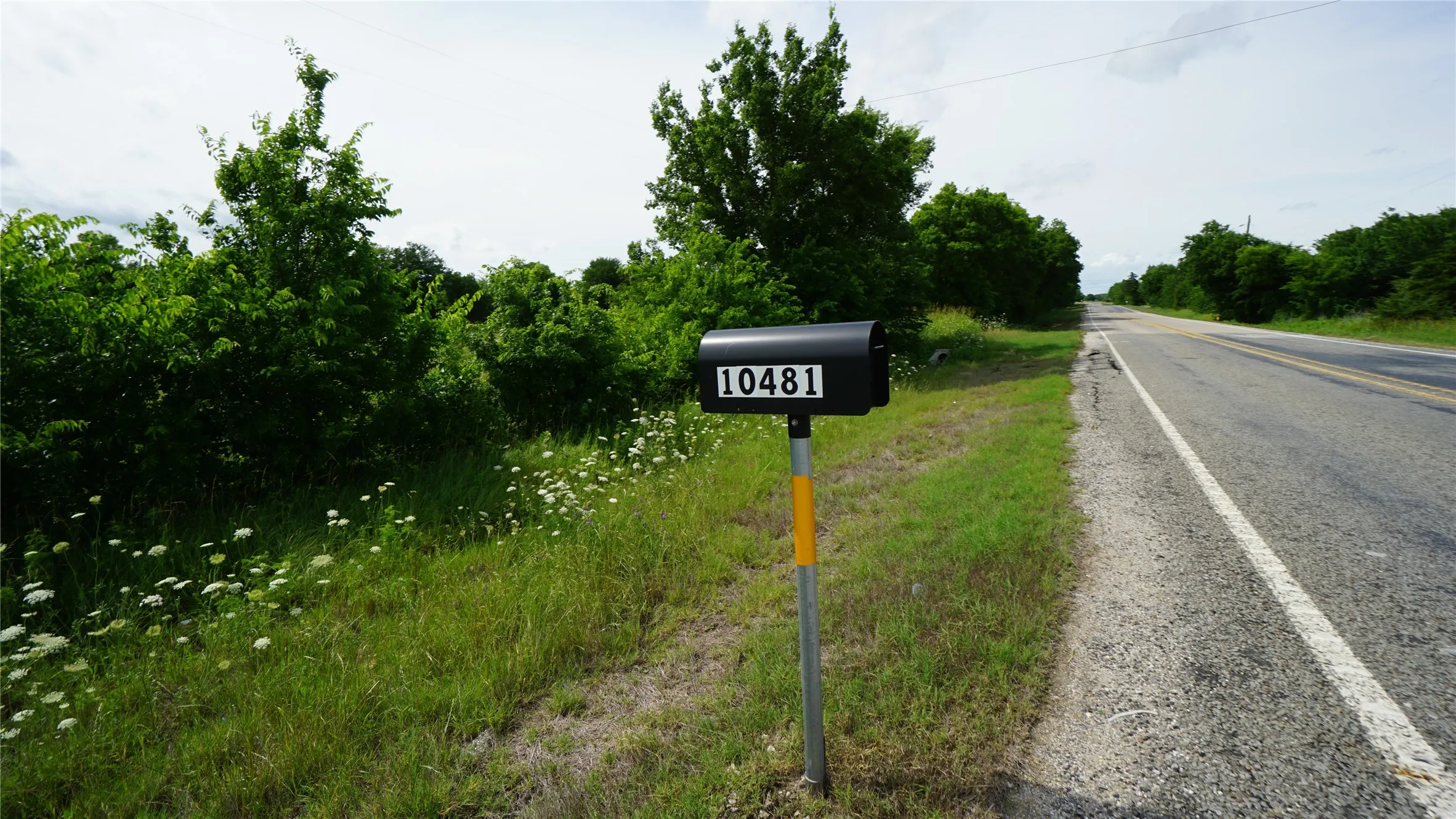 Unimproved Land For Sale in Hunt County , 10468 State Highway 50, Ladonia, Texas 75449, 0, 0, Garage spaces, 0 Sqft, built in 0, Price $99,000, mls#21285500, Real Estate Agent in Ladonia, Homes For Sale in Hunt county, Homes For Sale in Ladonia, Realtor in Ladonia Texas, Real Estate Brokerage Independent Realty Texas, Luminita Cordes Realtor
