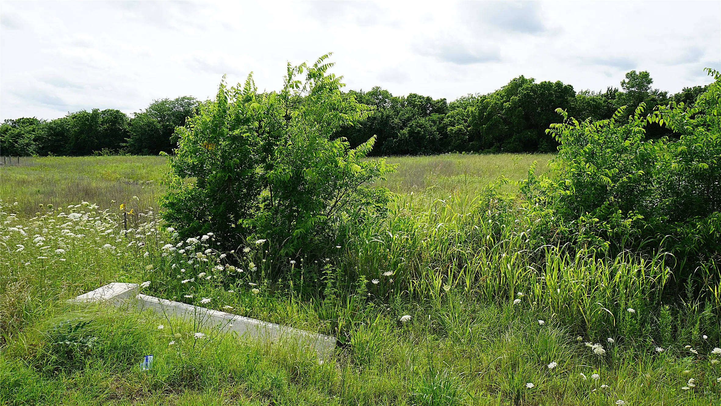 Unimproved Land For Sale in Hunt County , 10468 State Highway 50, Ladonia, Texas 75449, 0, 0, Garage spaces, 0 Sqft, built in 0, Price $99,000, mls#21285500, Real Estate Agent in Ladonia, Homes For Sale in Hunt county, Homes For Sale in Ladonia, Realtor in Ladonia Texas, Real Estate Brokerage Independent Realty Texas, Luminita Cordes Realtor