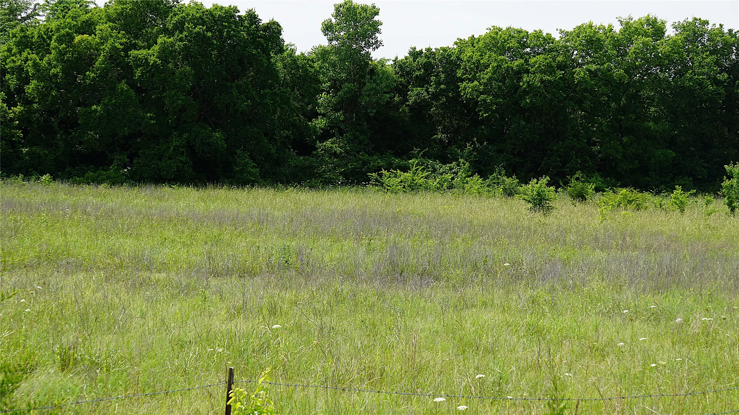 Unimproved Land For Sale in Hunt County , 10468 State Highway 50, Ladonia, Texas 75449, 0, 0, Garage spaces, 0 Sqft, built in 0, Price $99,000, mls#21285500, Real Estate Agent in Ladonia, Homes For Sale in Hunt county, Homes For Sale in Ladonia, Realtor in Ladonia Texas, Real Estate Brokerage Independent Realty Texas, Luminita Cordes Realtor