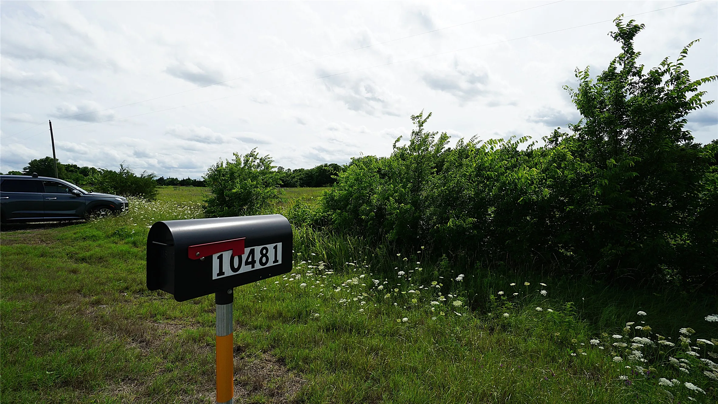 Unimproved Land For Sale in Hunt County , 10468 State Highway 50, Ladonia, Texas 75449, 0, 0, Garage spaces, 0 Sqft, built in 0, Price $99,000, mls#21285500, Real Estate Agent in Ladonia, Homes For Sale in Hunt county, Homes For Sale in Ladonia, Realtor in Ladonia Texas, Real Estate Brokerage Independent Realty Texas, Luminita Cordes Realtor