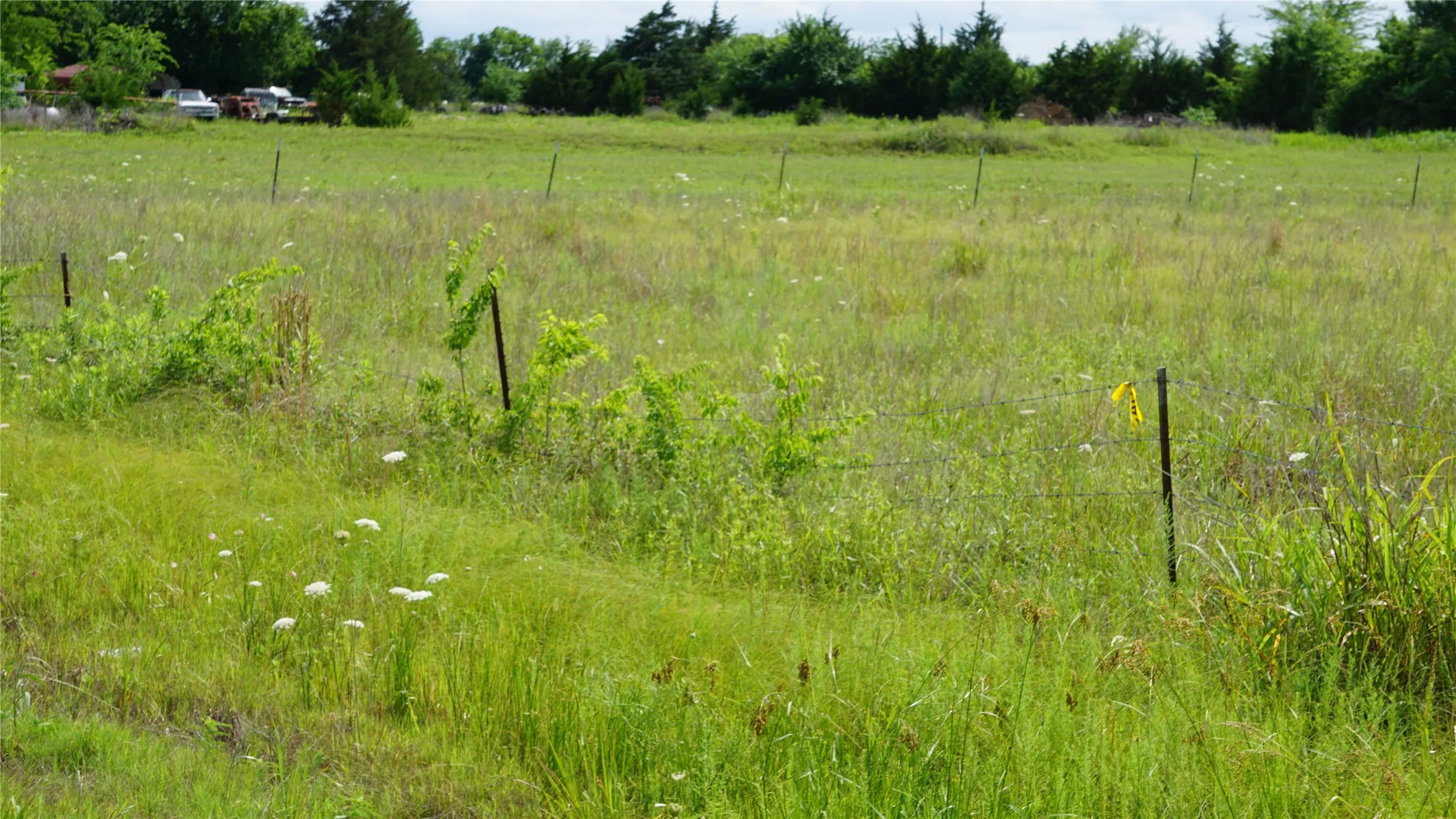 Unimproved Land For Sale in Hunt County , 10468 State Highway 50, Ladonia, Texas 75449, 0, 0, Garage spaces, 0 Sqft, built in 0, Price $99,000, mls#21285500, Real Estate Agent in Ladonia, Homes For Sale in Hunt county, Homes For Sale in Ladonia, Realtor in Ladonia Texas, Real Estate Brokerage Independent Realty Texas, Luminita Cordes Realtor