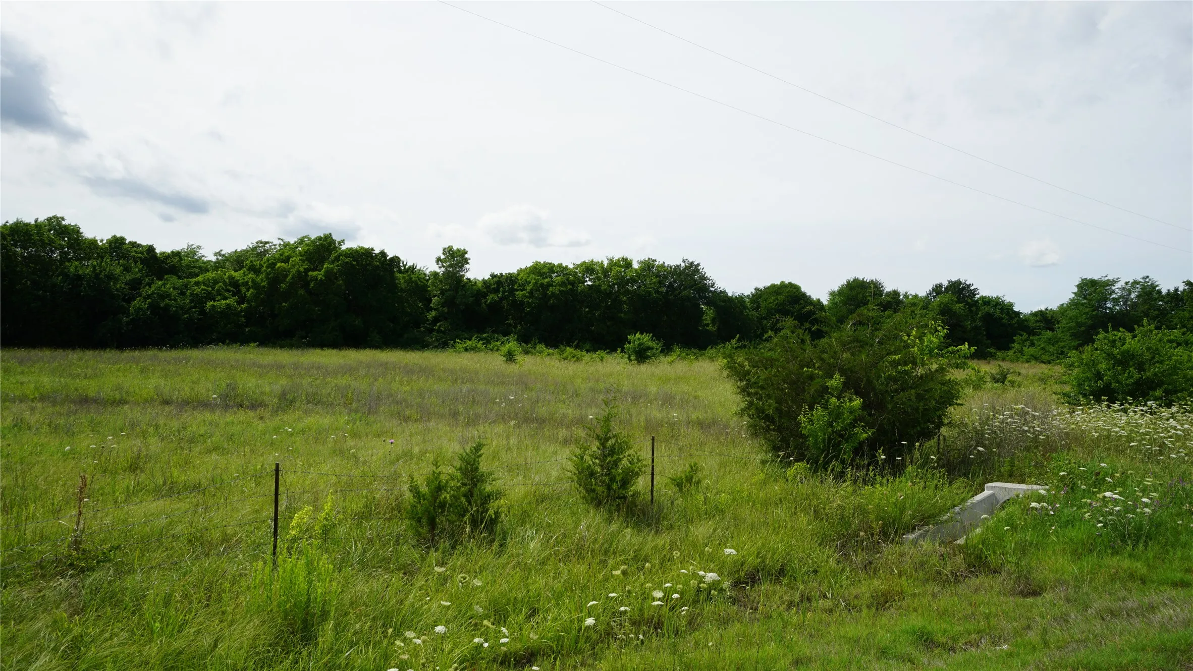 Unimproved Land For Sale in Hunt County , 10468 State Highway 50, Ladonia, Texas 75449, 0, 0, Garage spaces, 0 Sqft, built in 0, Price $99,000, mls#21285500, Real Estate Agent in Ladonia, Homes For Sale in Hunt county, Homes For Sale in Ladonia, Realtor in Ladonia Texas, Real Estate Brokerage Independent Realty Texas, Luminita Cordes Realtor