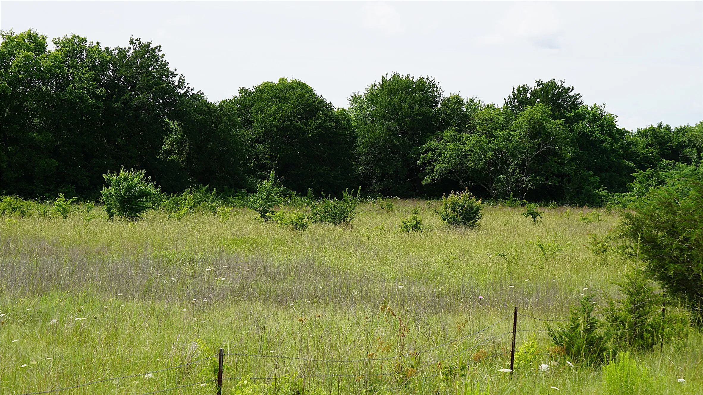 Unimproved Land For Sale in Hunt County , 10468 State Highway 50, Ladonia, Texas 75449, 0, 0, Garage spaces, 0 Sqft, built in 0, Price $99,000, mls#21285500, Real Estate Agent in Ladonia, Homes For Sale in Hunt county, Homes For Sale in Ladonia, Realtor in Ladonia Texas, Real Estate Brokerage Independent Realty Texas, Luminita Cordes Realtor