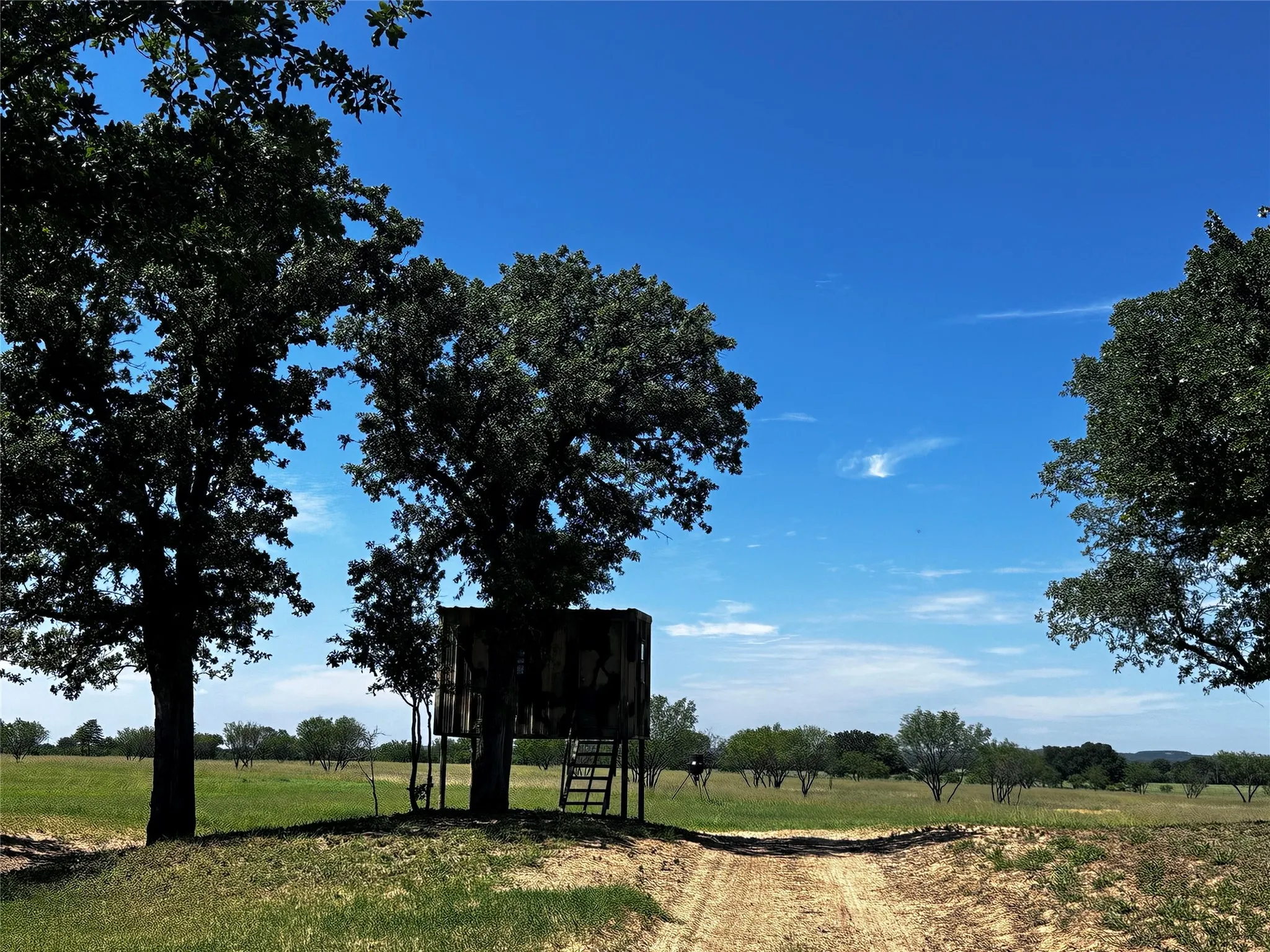 Unimproved Land For Sale in Callahan County , TBD Fm 374, Cross Plains, Texas 76443, 0, 0, Garage spaces, 0 Sqft, built in 0, mls#21285479, Real Estate Agent in Cross Plains, Homes For Sale in Callahan county, Homes For Sale in Cross Plains, Realtor in Cross Plains Texas, Real Estate Brokerage Independent Realty Texas, Luminita Cordes Realtor