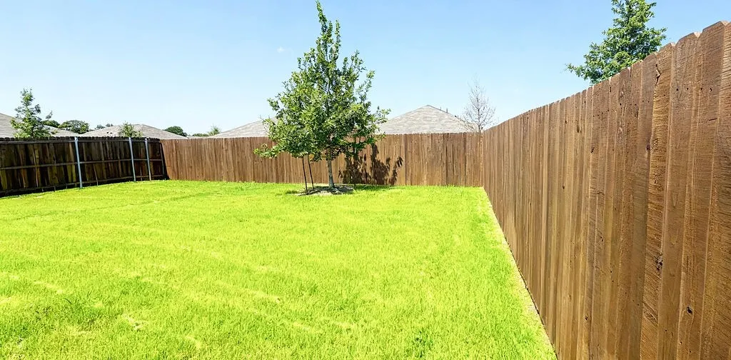 Expansive backyard featuring a lush green lawn, mature tree, and full privacy fencing