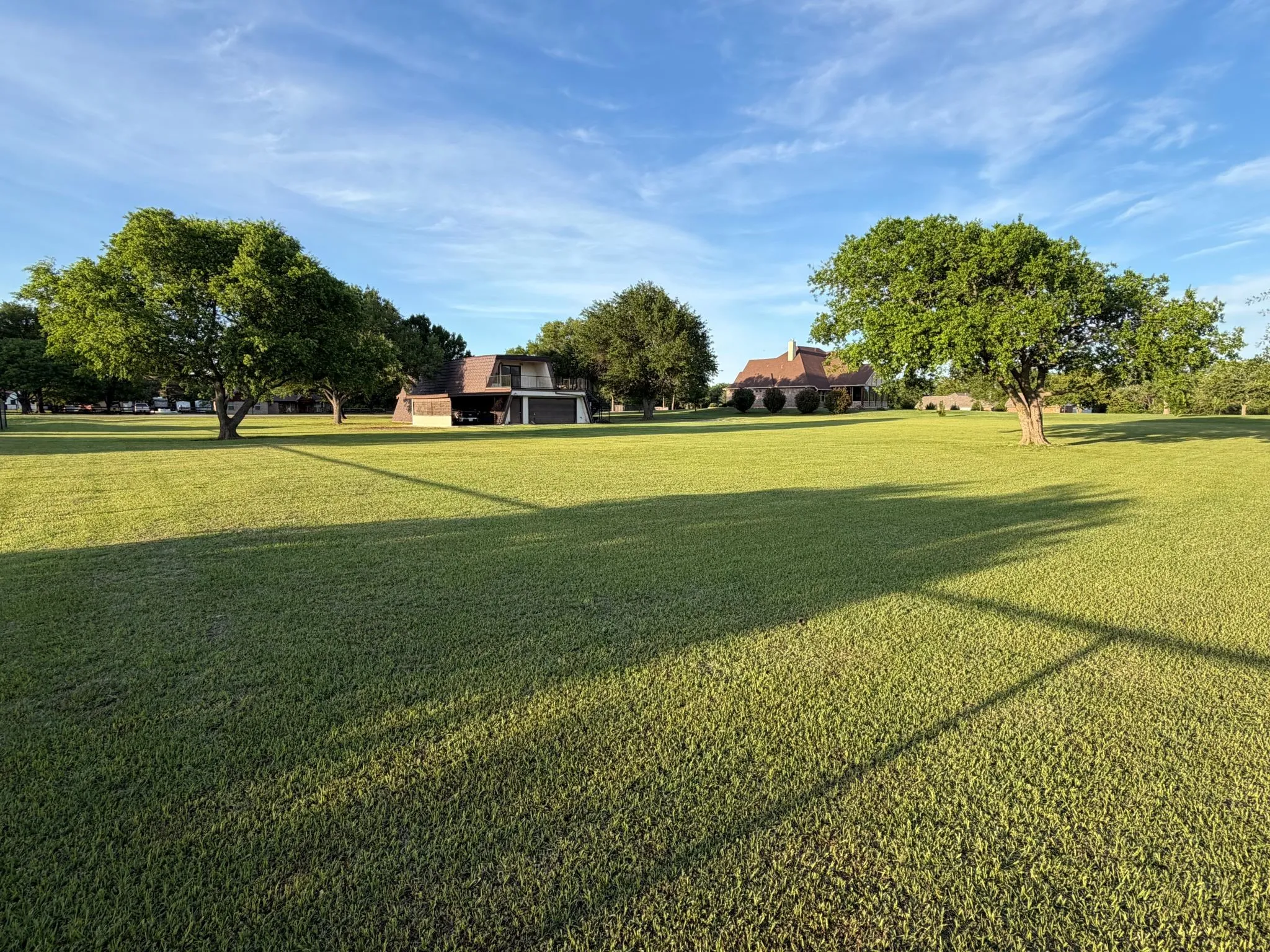 large flat lot with trees