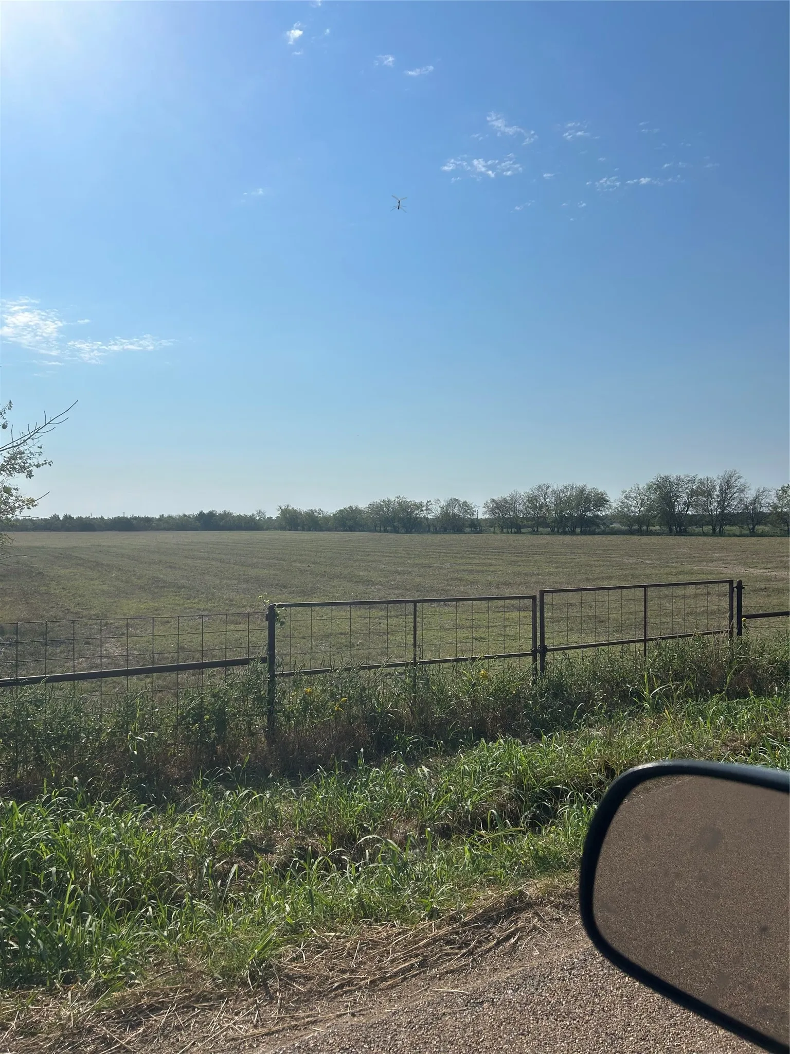 Unimproved Land For Sale in Kaufman County , TBD Quail Ln, Terrell, Texas 75160, 0, 0, Garage spaces, 0 Sqft, built in 0, Price $375,000, mls#21285528, Real Estate Agent in Terrell, Homes For Sale in Kaufman county, Homes For Sale in Terrell, Realtor in Terrell Texas, Real Estate Brokerage Independent Realty Texas, Luminita Cordes Realtor