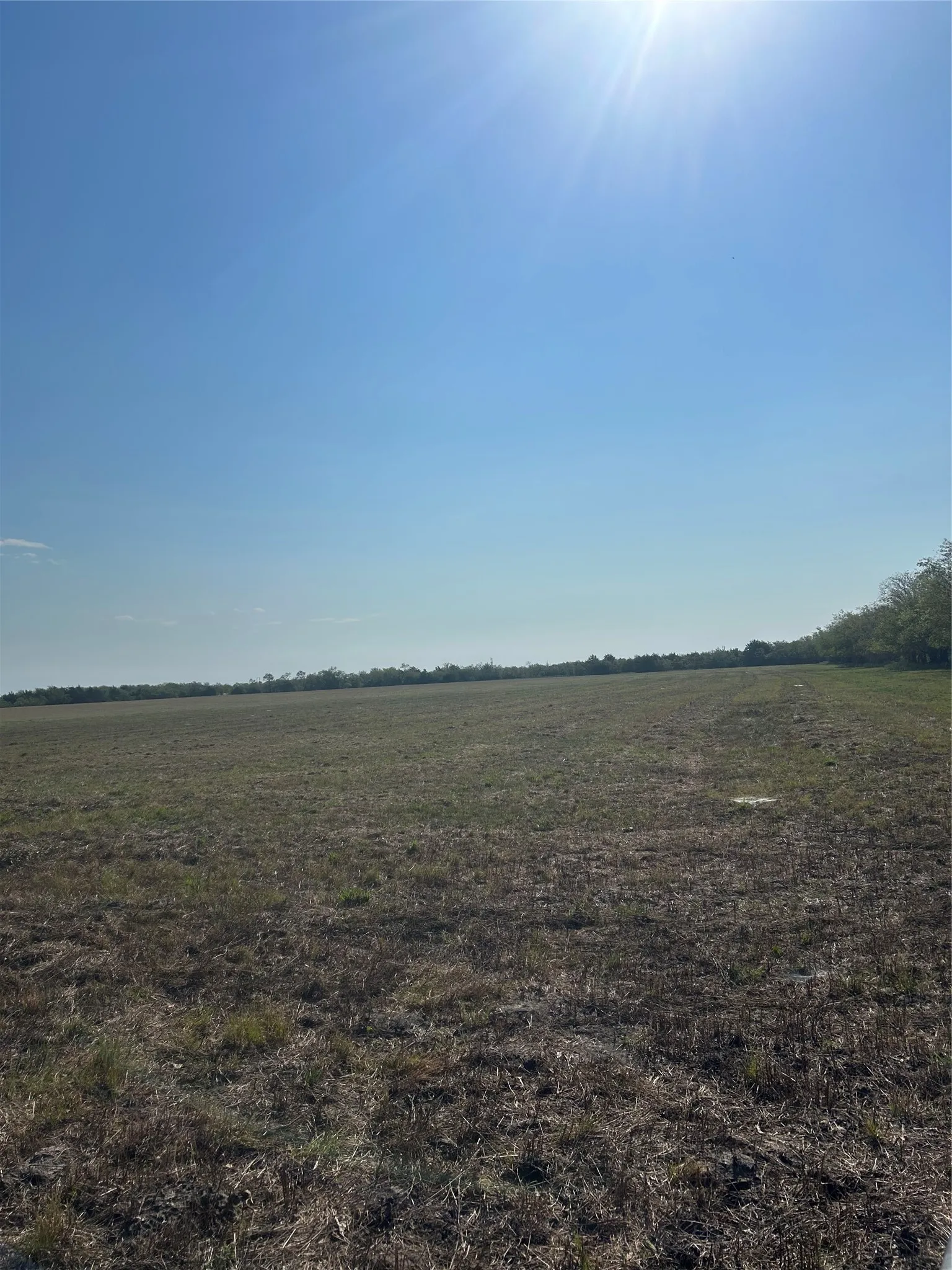 Unimproved Land For Sale in Kaufman County , TBD Quail Ln, Terrell, Texas 75160, 0, 0, Garage spaces, 0 Sqft, built in 0, Price $375,000, mls#21285528, Real Estate Agent in Terrell, Homes For Sale in Kaufman county, Homes For Sale in Terrell, Realtor in Terrell Texas, Real Estate Brokerage Independent Realty Texas, Luminita Cordes Realtor