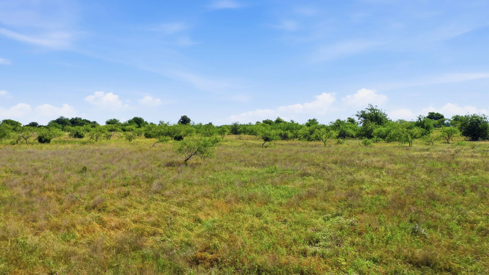 Unimproved Land For Sale in Hill County , TBD Private 191 Road, Blum, Texas 76627, 0, 0, Garage spaces, 0 Sqft, built in 0, mls#21285183, Real Estate Agent in Blum, Homes For Sale in Hill county, Homes For Sale in Blum, Realtor in Blum Texas, Real Estate Brokerage Independent Realty Texas, Luminita Cordes Realtor