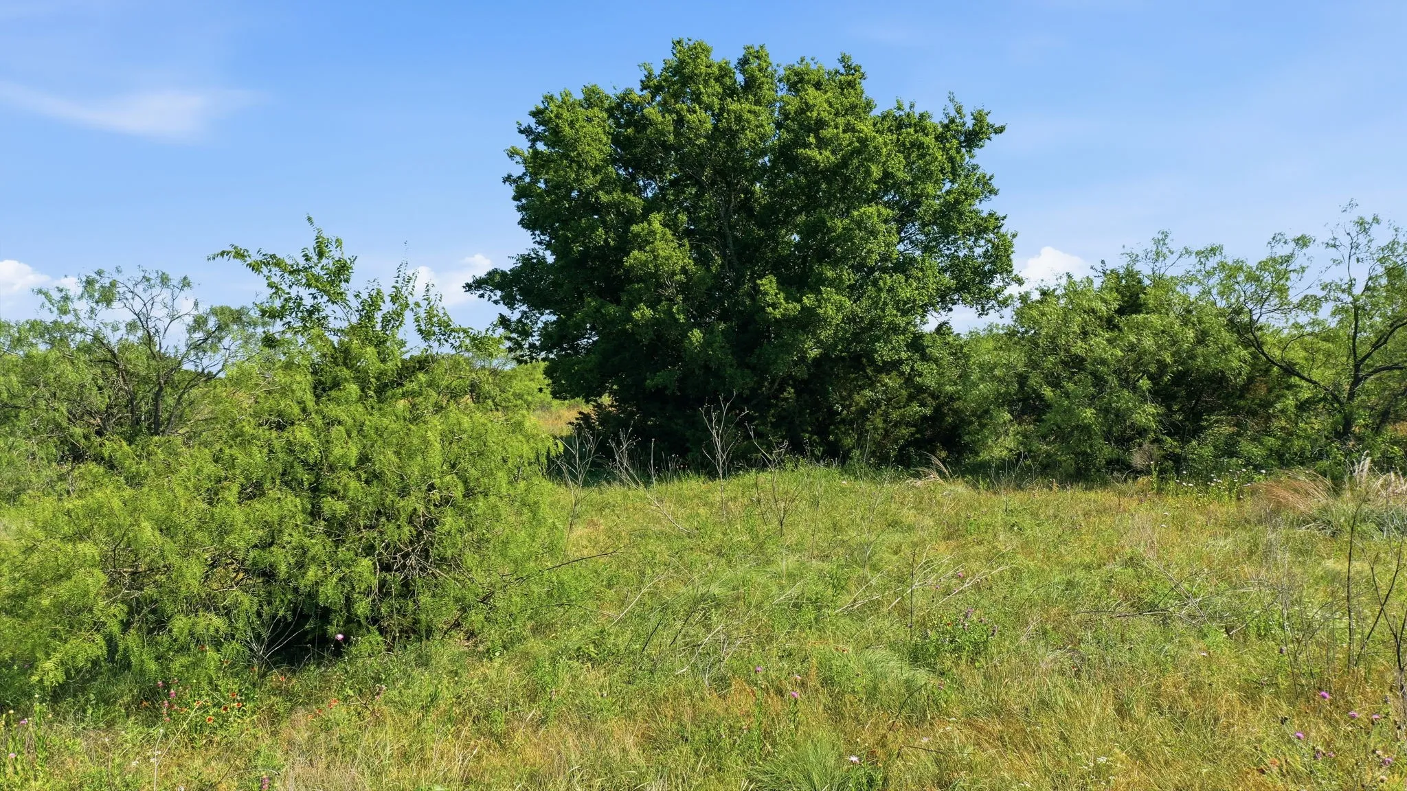 Unimproved Land For Sale in Hill County , TBD Private 191 Road, Blum, Texas 76627, 0, 0, Garage spaces, 0 Sqft, built in 0, mls#21285183, Real Estate Agent in Blum, Homes For Sale in Hill county, Homes For Sale in Blum, Realtor in Blum Texas, Real Estate Brokerage Independent Realty Texas, Luminita Cordes Realtor