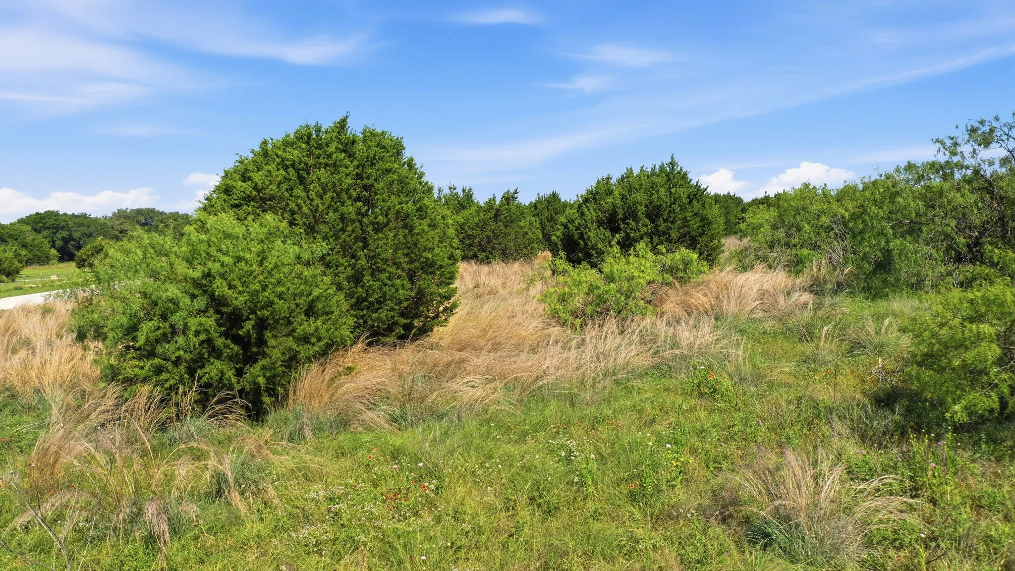 Unimproved Land For Sale in Hill County , TBD Private 191 Road, Blum, Texas 76627, 0, 0, Garage spaces, 0 Sqft, built in 0, mls#21285183, Real Estate Agent in Blum, Homes For Sale in Hill county, Homes For Sale in Blum, Realtor in Blum Texas, Real Estate Brokerage Independent Realty Texas, Luminita Cordes Realtor