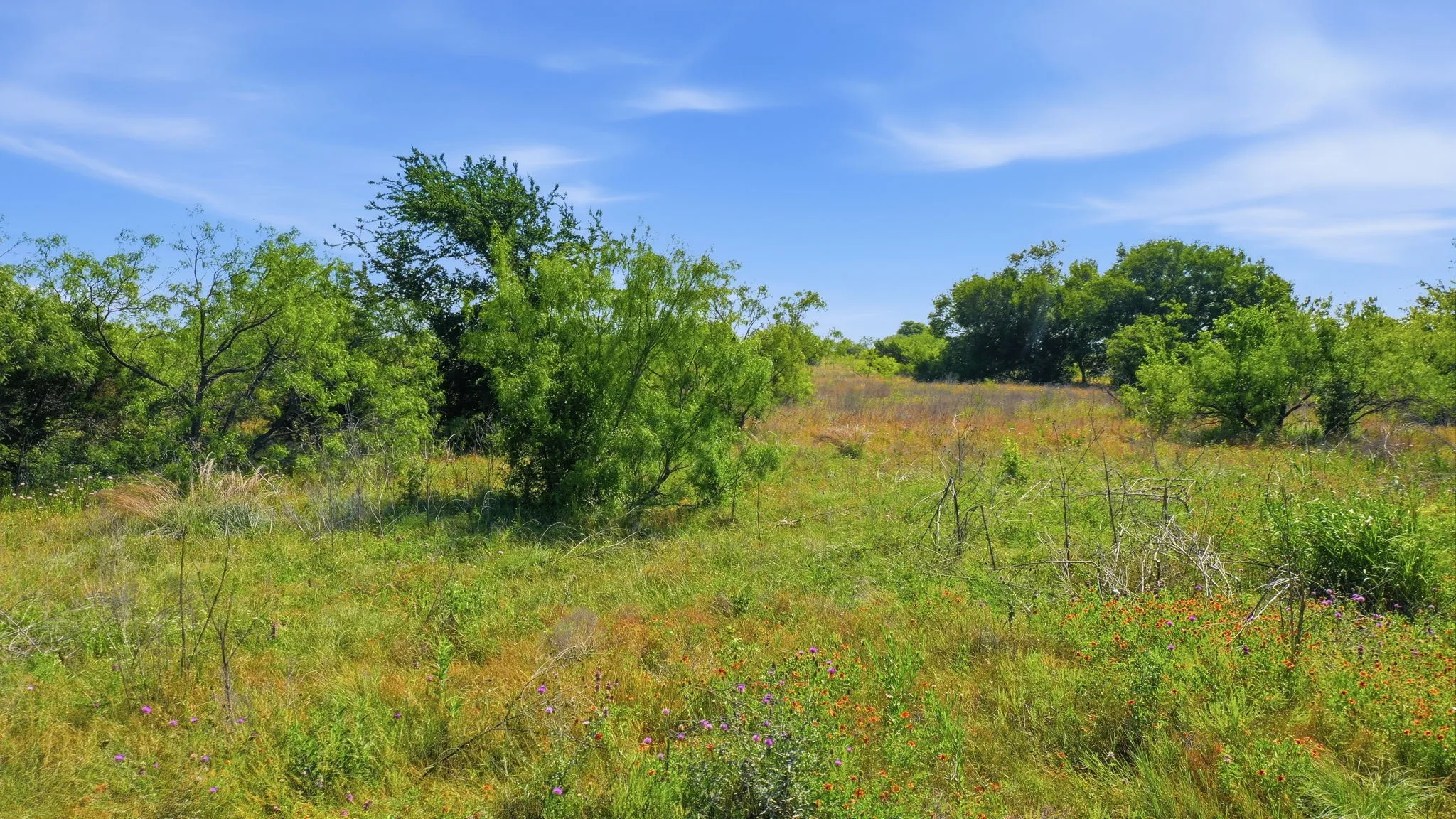 Unimproved Land For Sale in Hill County , TBD Private 191 Road, Blum, Texas 76627, 0, 0, Garage spaces, 0 Sqft, built in 0, mls#21285183, Real Estate Agent in Blum, Homes For Sale in Hill county, Homes For Sale in Blum, Realtor in Blum Texas, Real Estate Brokerage Independent Realty Texas, Luminita Cordes Realtor