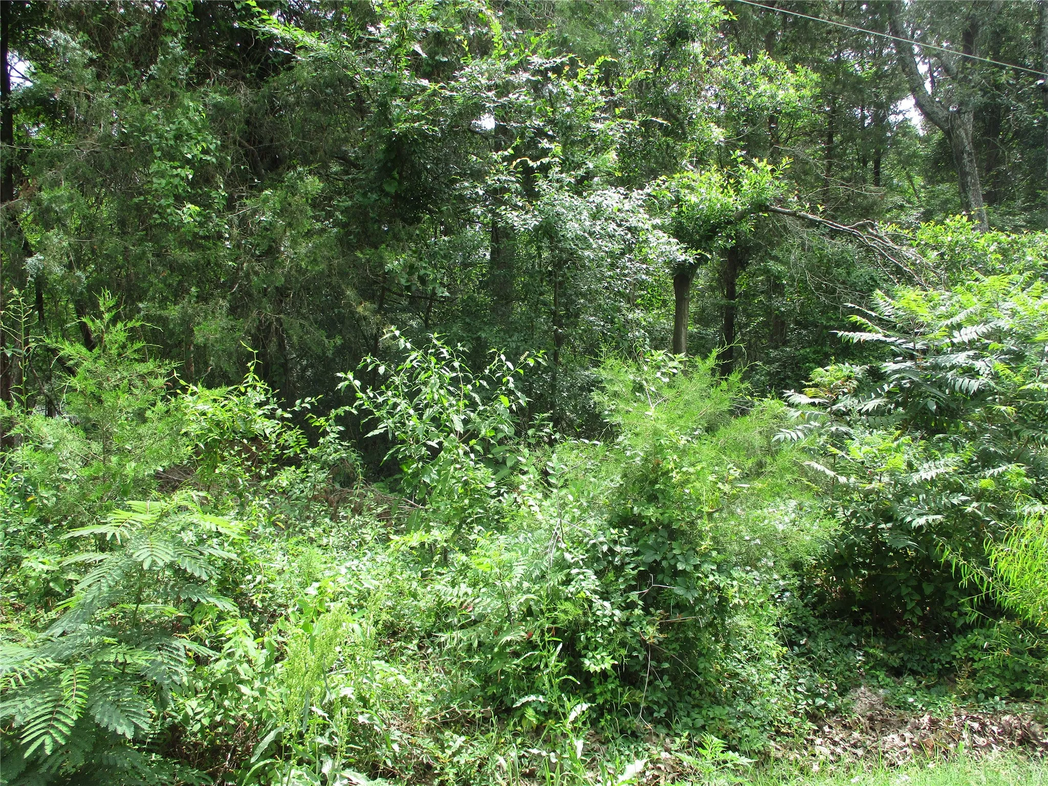 Unimproved Land For Sale in Rains County , TBD ROBINSON Street, Emory, Texas 75440, 0, 0, Garage spaces, 0 Sqft, built in 0, Price $85,440, mls#21285622, Real Estate Agent in Emory, Homes For Sale in Rains county, Homes For Sale in Emory, Realtor in Emory Texas, Real Estate Brokerage Independent Realty Texas, Luminita Cordes Realtor