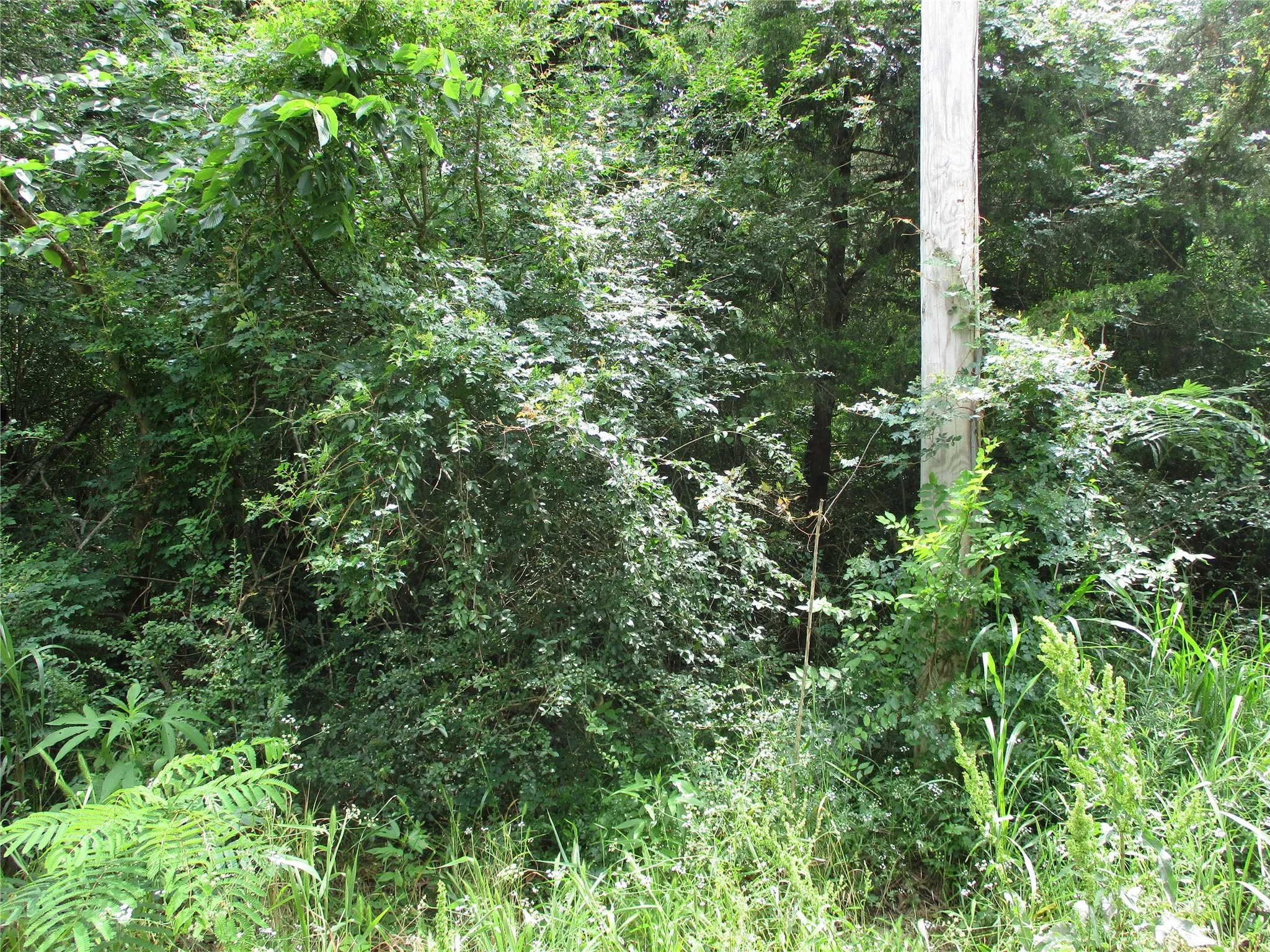 Unimproved Land For Sale in Rains County , TBD ROBINSON Street, Emory, Texas 75440, 0, 0, Garage spaces, 0 Sqft, built in 0, Price $85,440, mls#21285622, Real Estate Agent in Emory, Homes For Sale in Rains county, Homes For Sale in Emory, Realtor in Emory Texas, Real Estate Brokerage Independent Realty Texas, Luminita Cordes Realtor