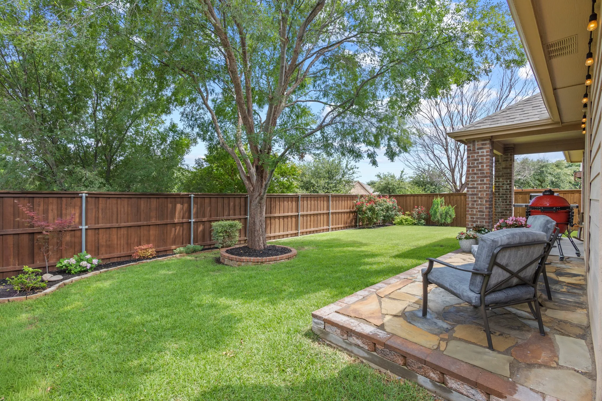 What a great yard!