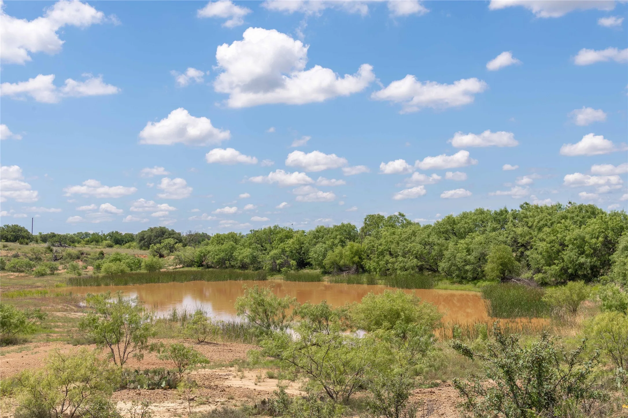 Ranch For Sale in Brown County , 8380 Fm 585, Brownwood, Texas 76801, 0, 0, Garage spaces, 0 Sqft, built in 0, mls#21285767, Real Estate Agent in Brownwood, Homes For Sale in Brown county, Homes For Sale in Brownwood, Realtor in Brownwood Texas, Real Estate Brokerage Independent Realty Texas, Luminita Cordes Realtor