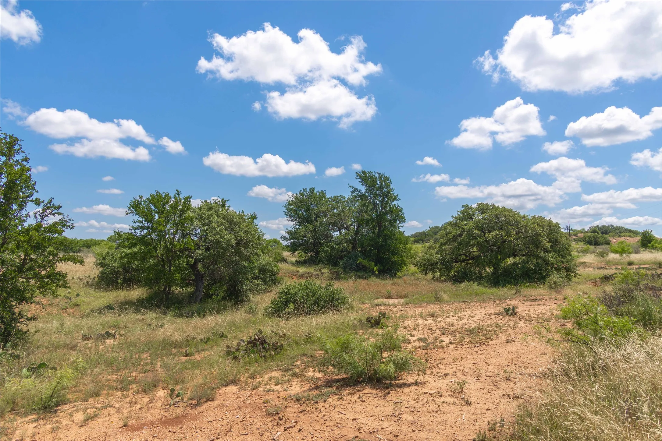 Expansive natural landscape with varied terrain, mature trees, and native vegetation under a vast blue sky