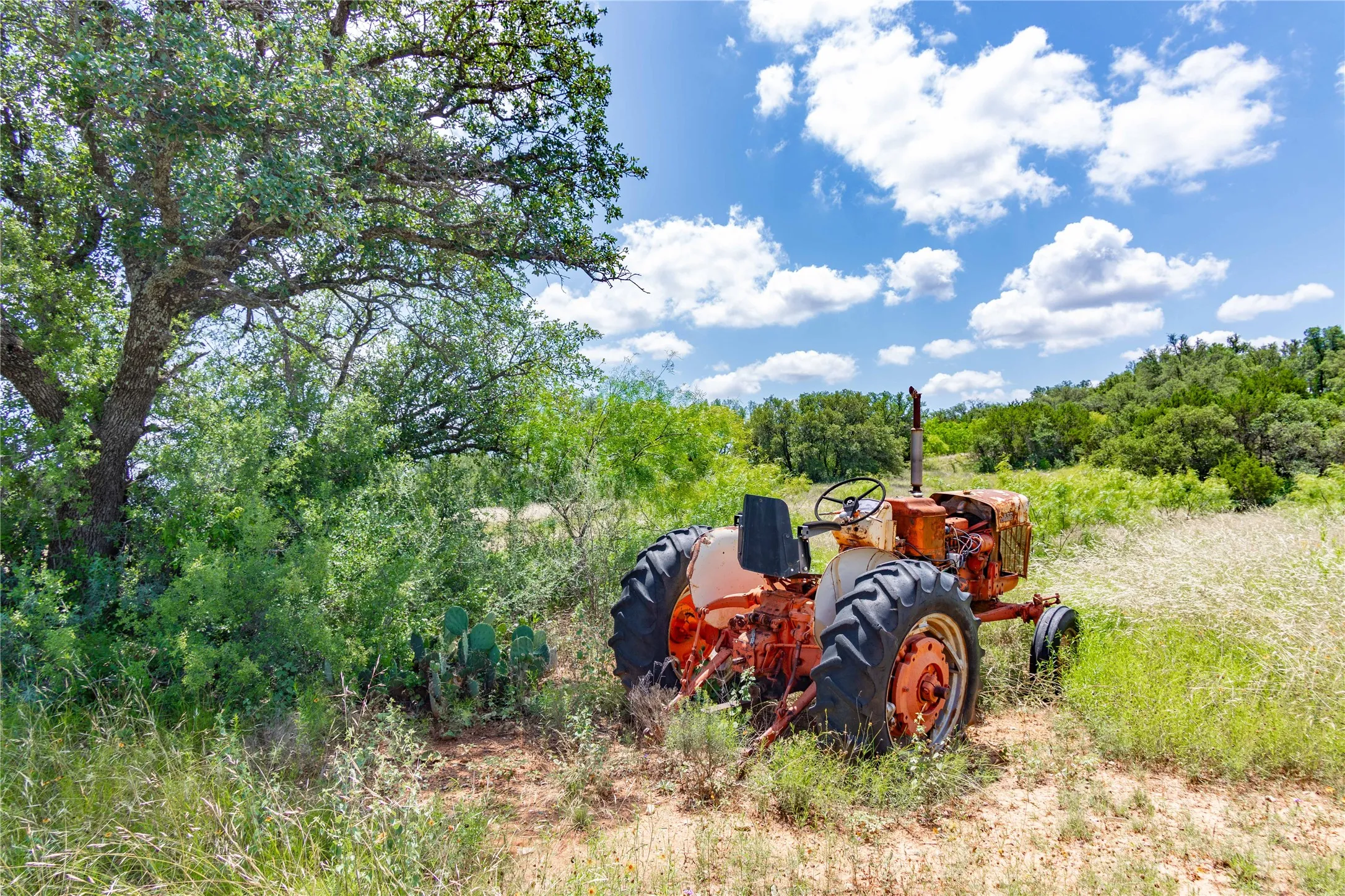 Ranch For Sale in Brown County , 8380 Fm 585, Brownwood, Texas 76801, 0, 0, Garage spaces, 0 Sqft, built in 0, mls#21285767, Real Estate Agent in Brownwood, Homes For Sale in Brown county, Homes For Sale in Brownwood, Realtor in Brownwood Texas, Real Estate Brokerage Independent Realty Texas, Luminita Cordes Realtor