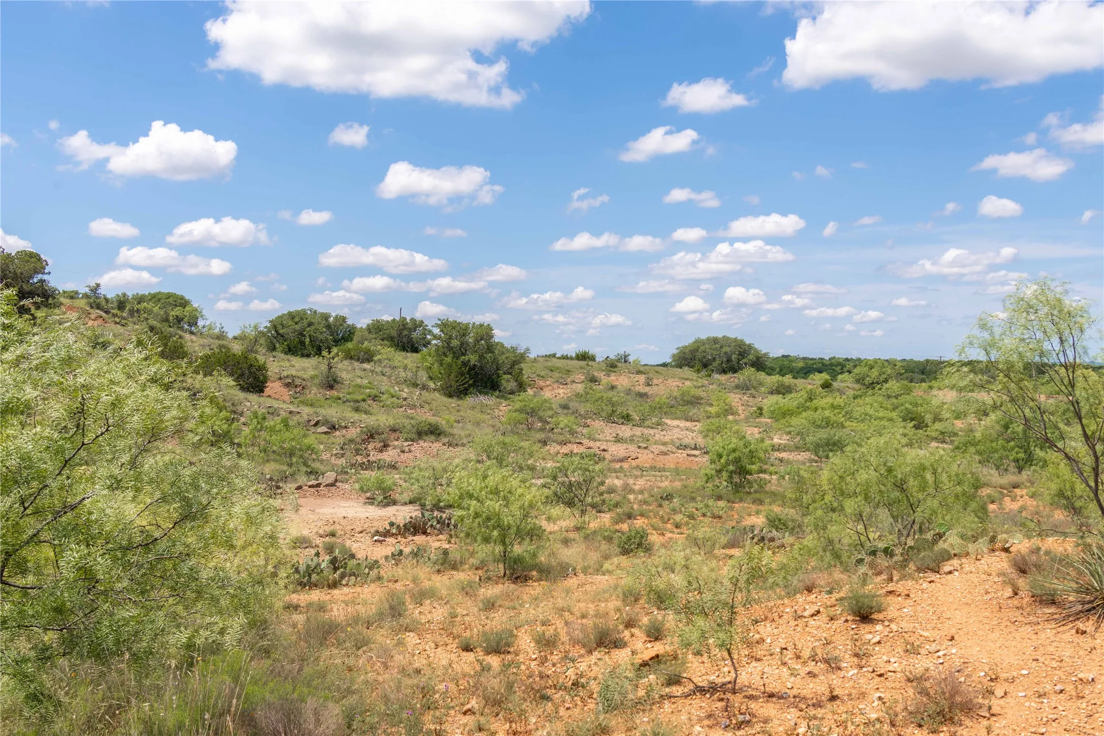 Expansive undeveloped land featuring natural terrain with varied elevations, native vegetation, scattered trees, and visible clearings