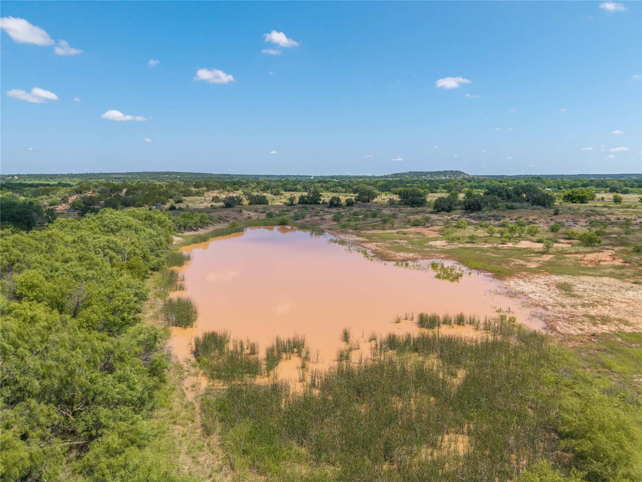 Expansive natural pond surrounded by dense green foliage and open land