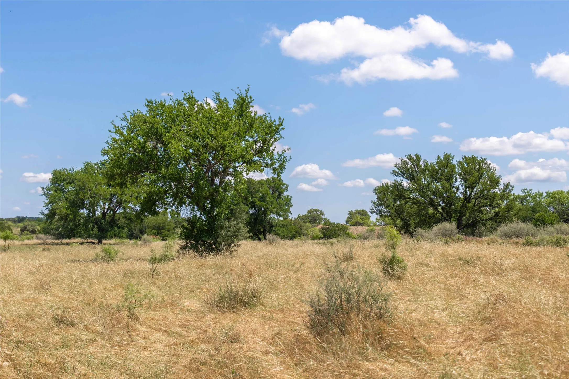 Expansive open land featuring mature trees and natural vegetation