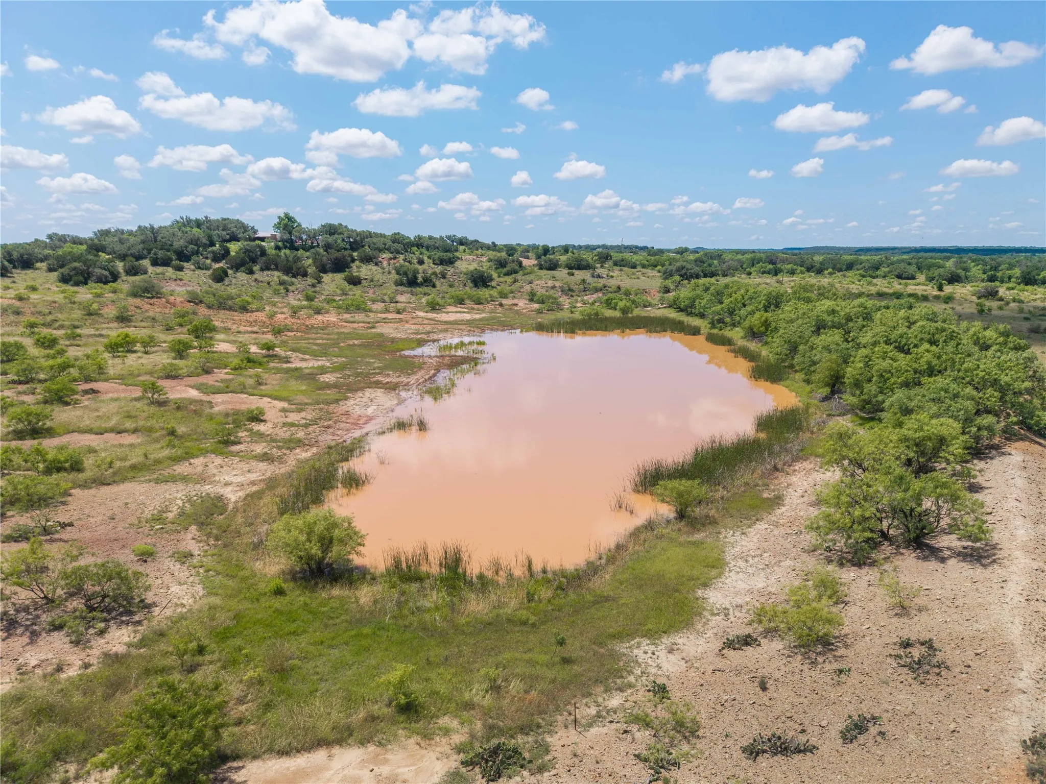 Expansive undeveloped land featuring a large pond
