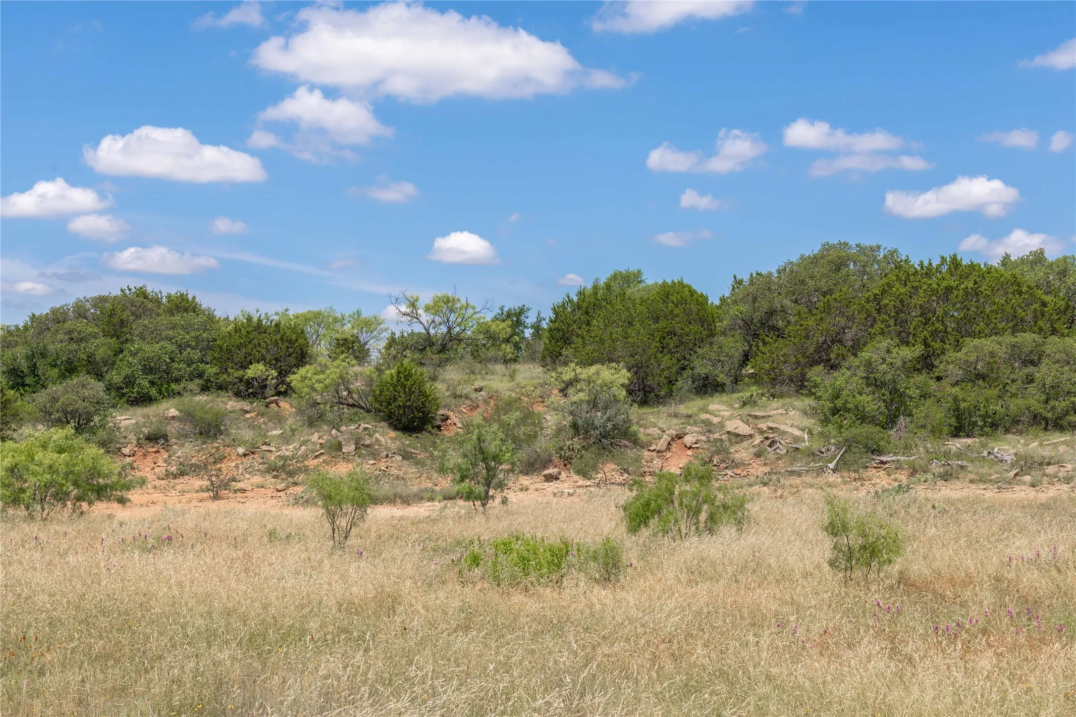 Expansive natural terrain featuring mature trees and varied vegetation