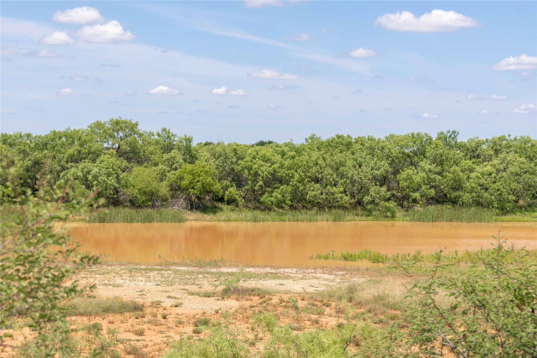 Ranch For Sale in Brown County , 8380 Fm 585, Brownwood, Texas 76801, 0, 0, Garage spaces, 0 Sqft, built in 0, mls#21285767, Real Estate Agent in Brownwood, Homes For Sale in Brown county, Homes For Sale in Brownwood, Realtor in Brownwood Texas, Real Estate Brokerage Independent Realty Texas, Luminita Cordes Realtor