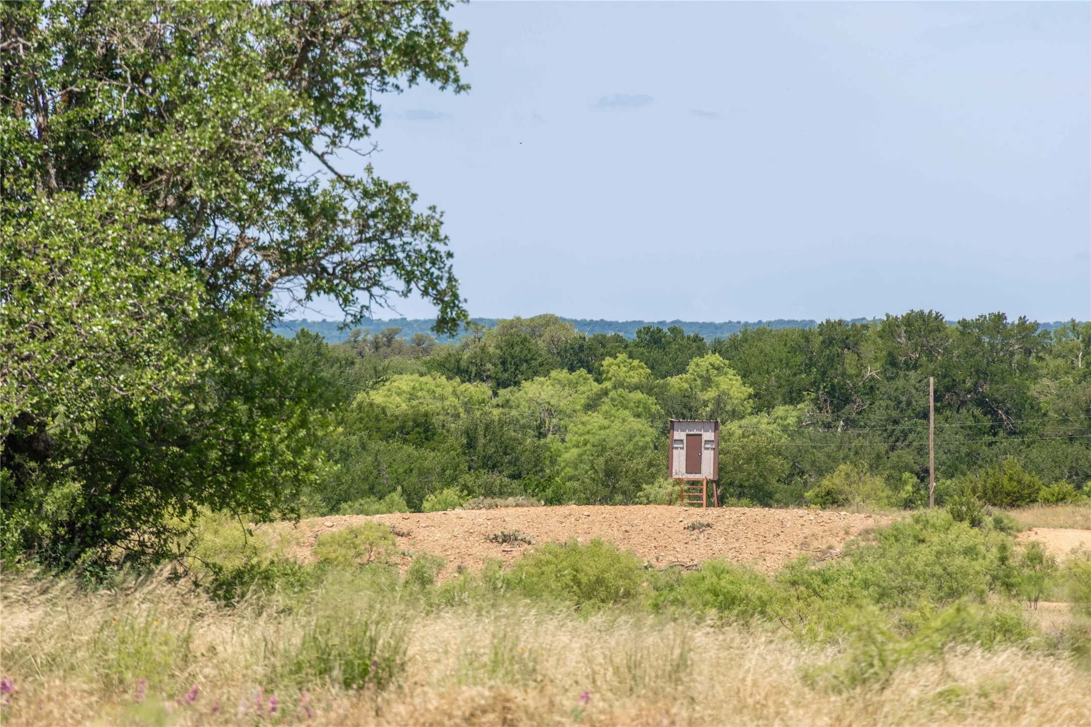 Ranch For Sale in Brown County , 8380 Fm 585, Brownwood, Texas 76801, 0, 0, Garage spaces, 0 Sqft, built in 0, mls#21285767, Real Estate Agent in Brownwood, Homes For Sale in Brown county, Homes For Sale in Brownwood, Realtor in Brownwood Texas, Real Estate Brokerage Independent Realty Texas, Luminita Cordes Realtor