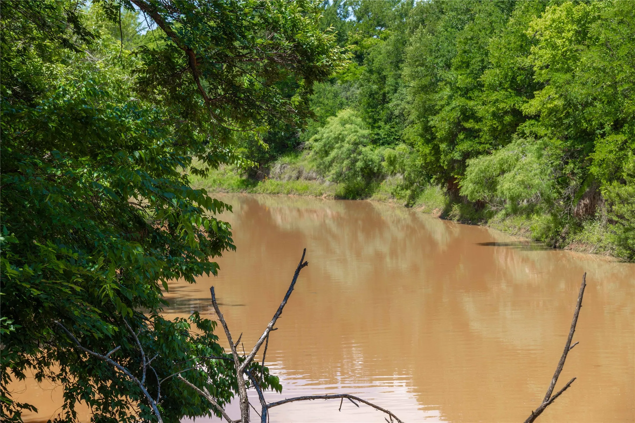 Ranch For Sale in Brown County , 8380 Fm 585, Brownwood, Texas 76801, 0, 0, Garage spaces, 0 Sqft, built in 0, mls#21285767, Real Estate Agent in Brownwood, Homes For Sale in Brown county, Homes For Sale in Brownwood, Realtor in Brownwood Texas, Real Estate Brokerage Independent Realty Texas, Luminita Cordes Realtor